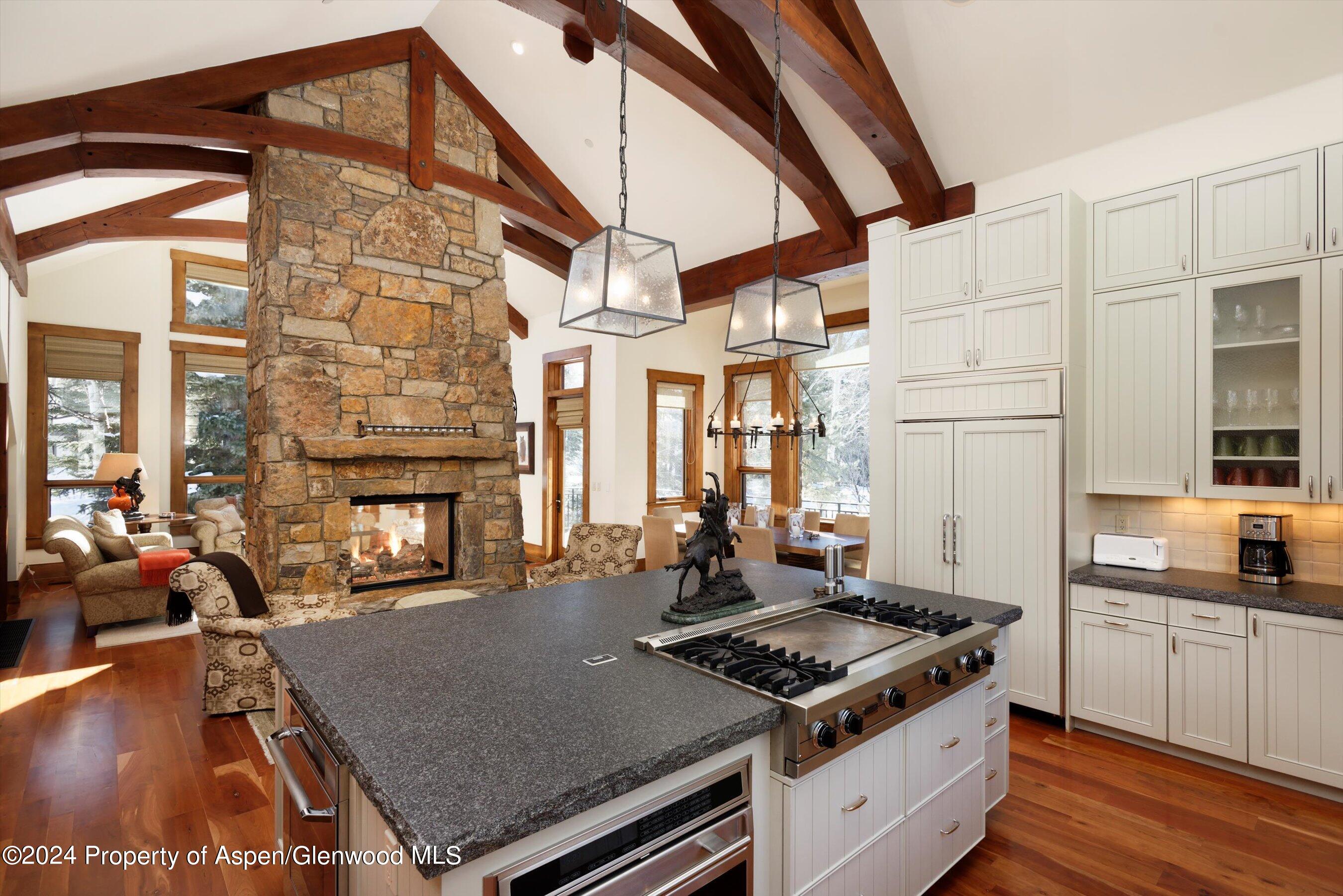 1432 Sierra Vista Drive Aspen CO 81611