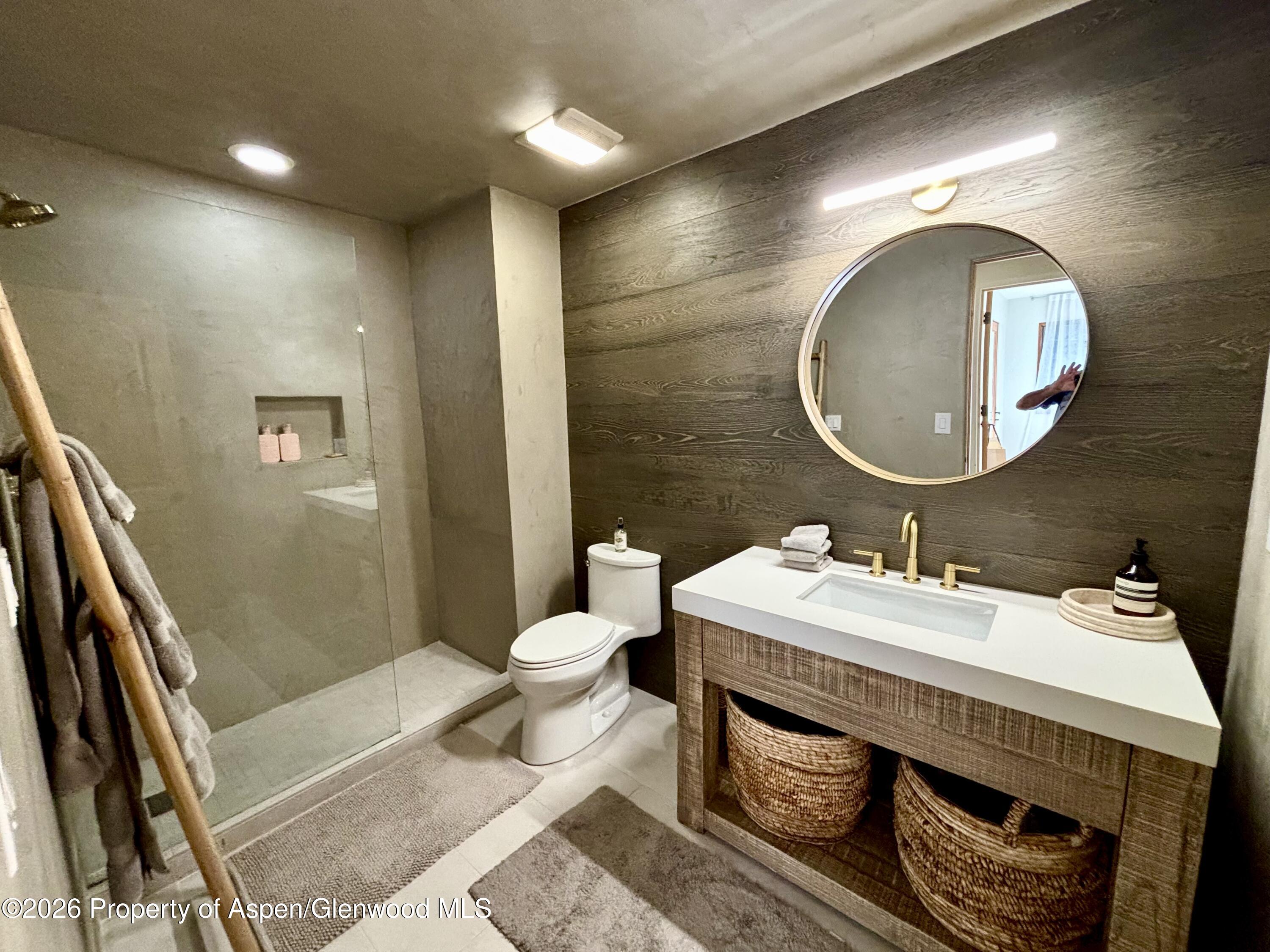 315 Summerset Lane Basalt CO 81621