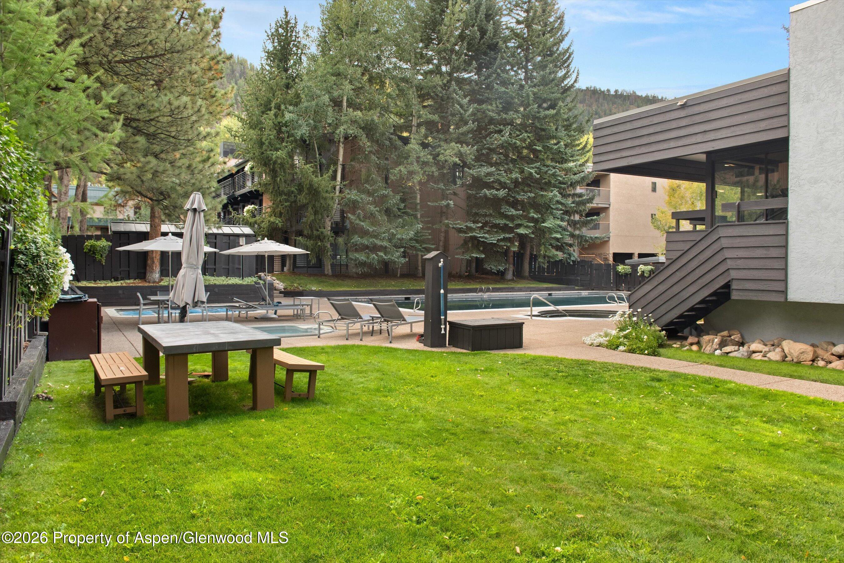 1039 E Cooper Avenue Aspen CO 81611