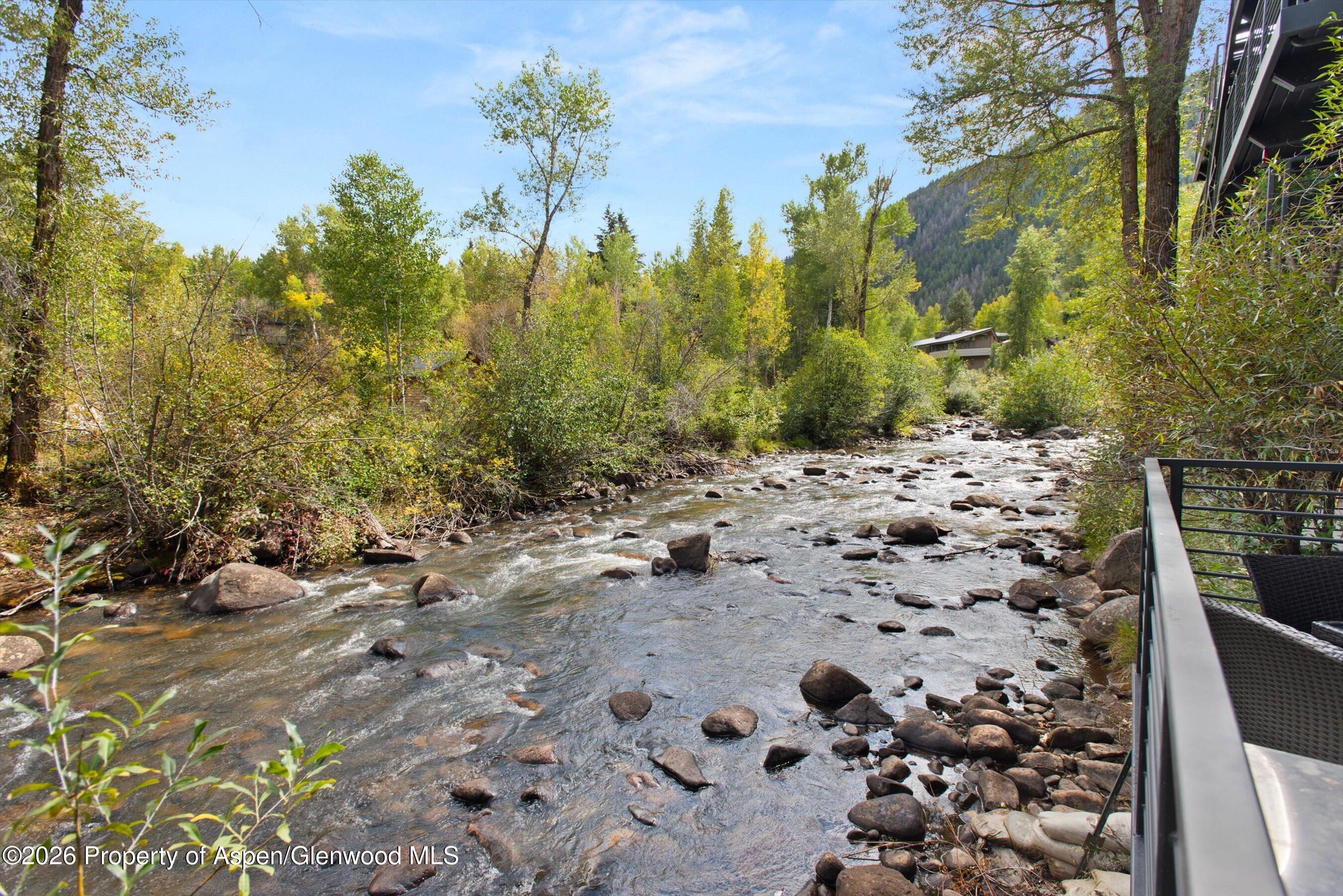 1039 E Cooper Avenue Aspen CO 81611