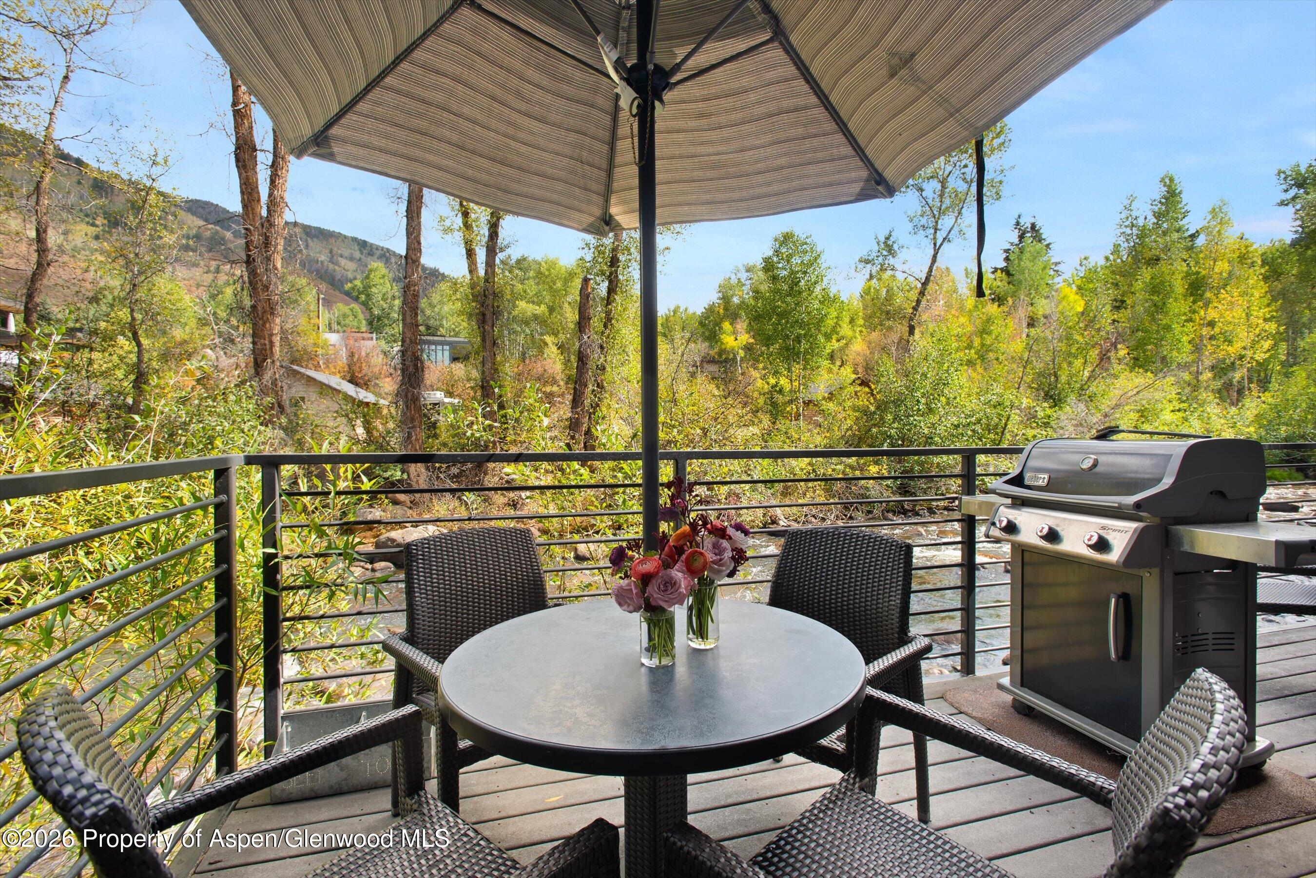 1039 E Cooper Avenue Aspen CO 81611