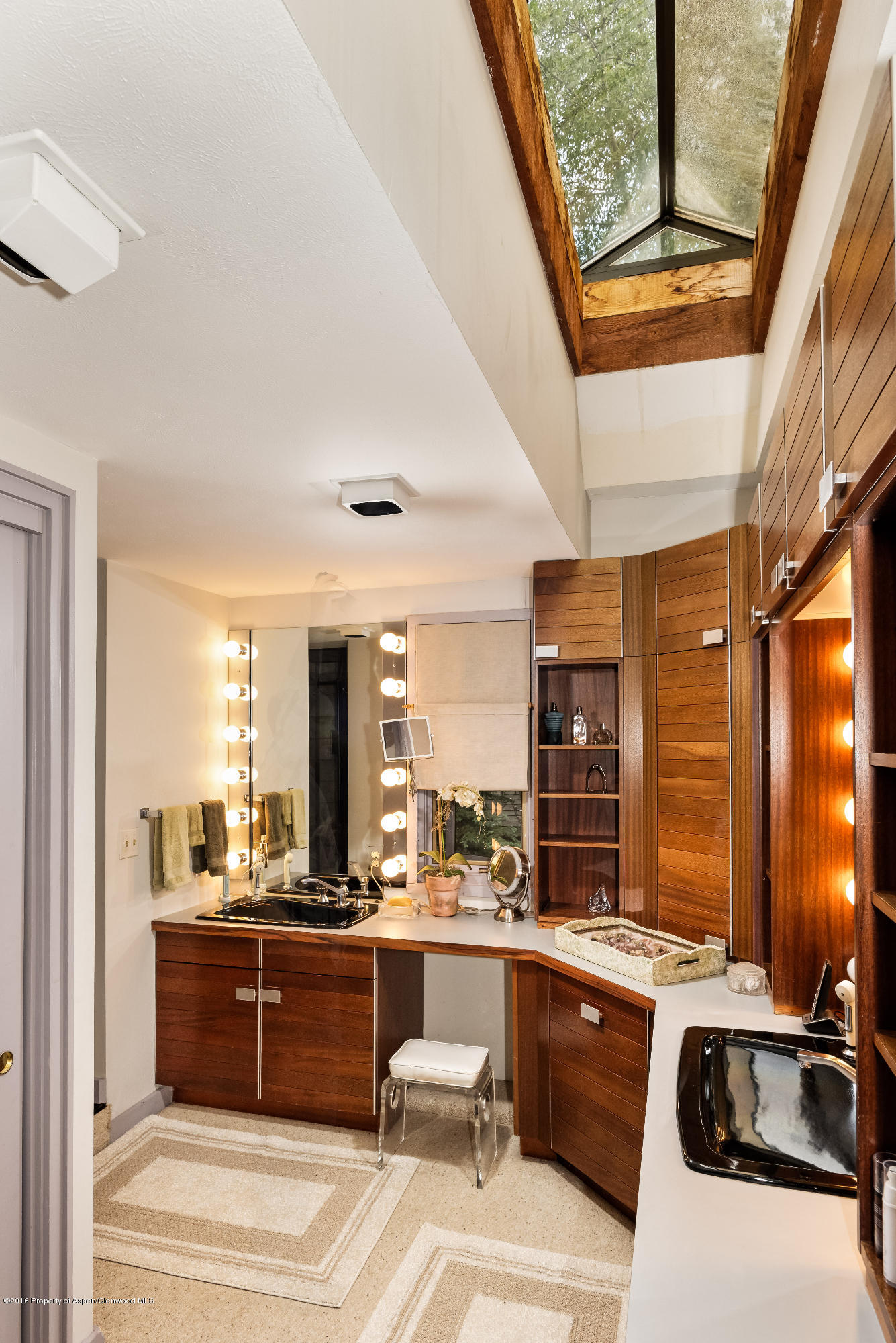 235 W Hopkins Avenue Aspen CO 81611