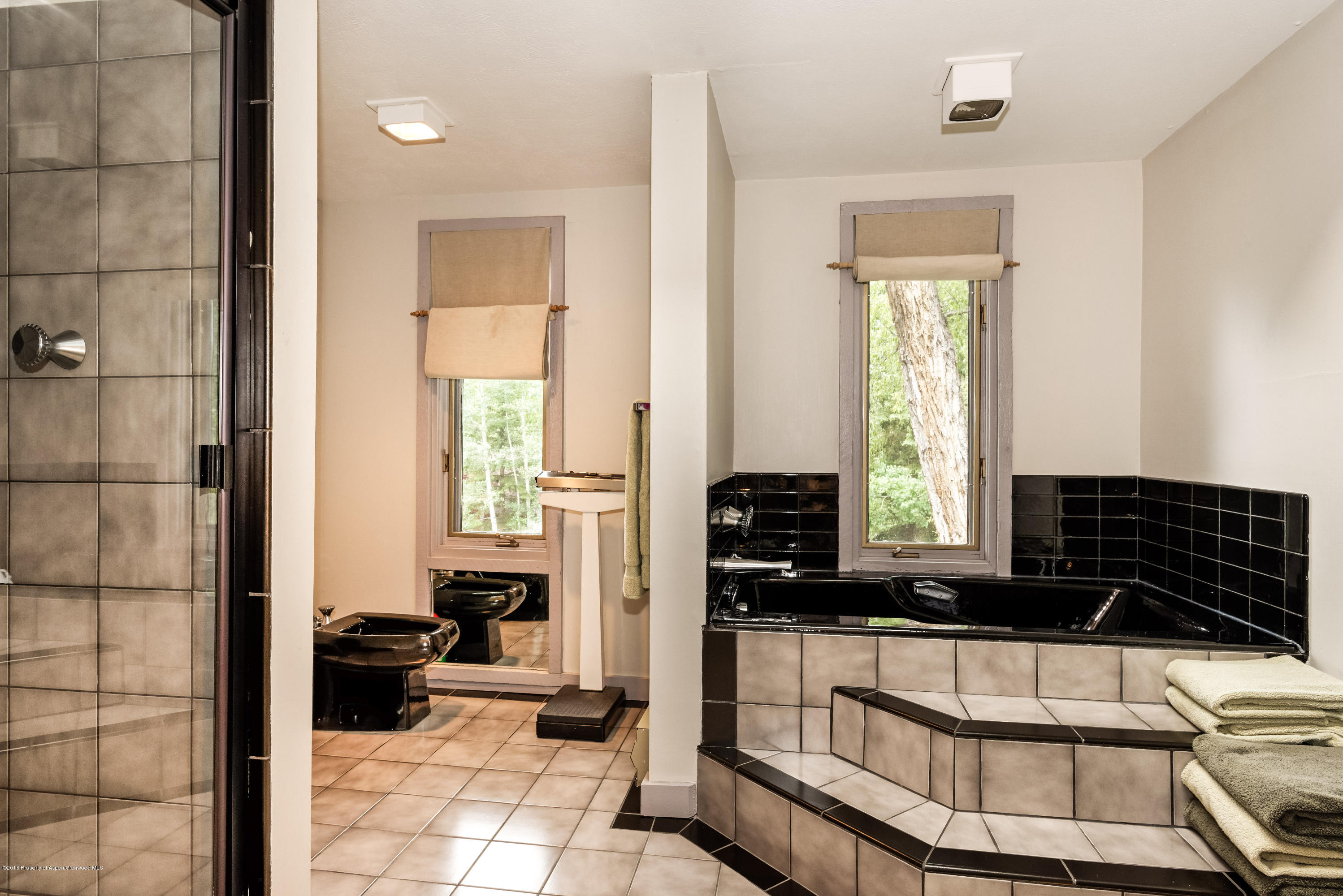 235 W Hopkins Avenue Aspen CO 81611