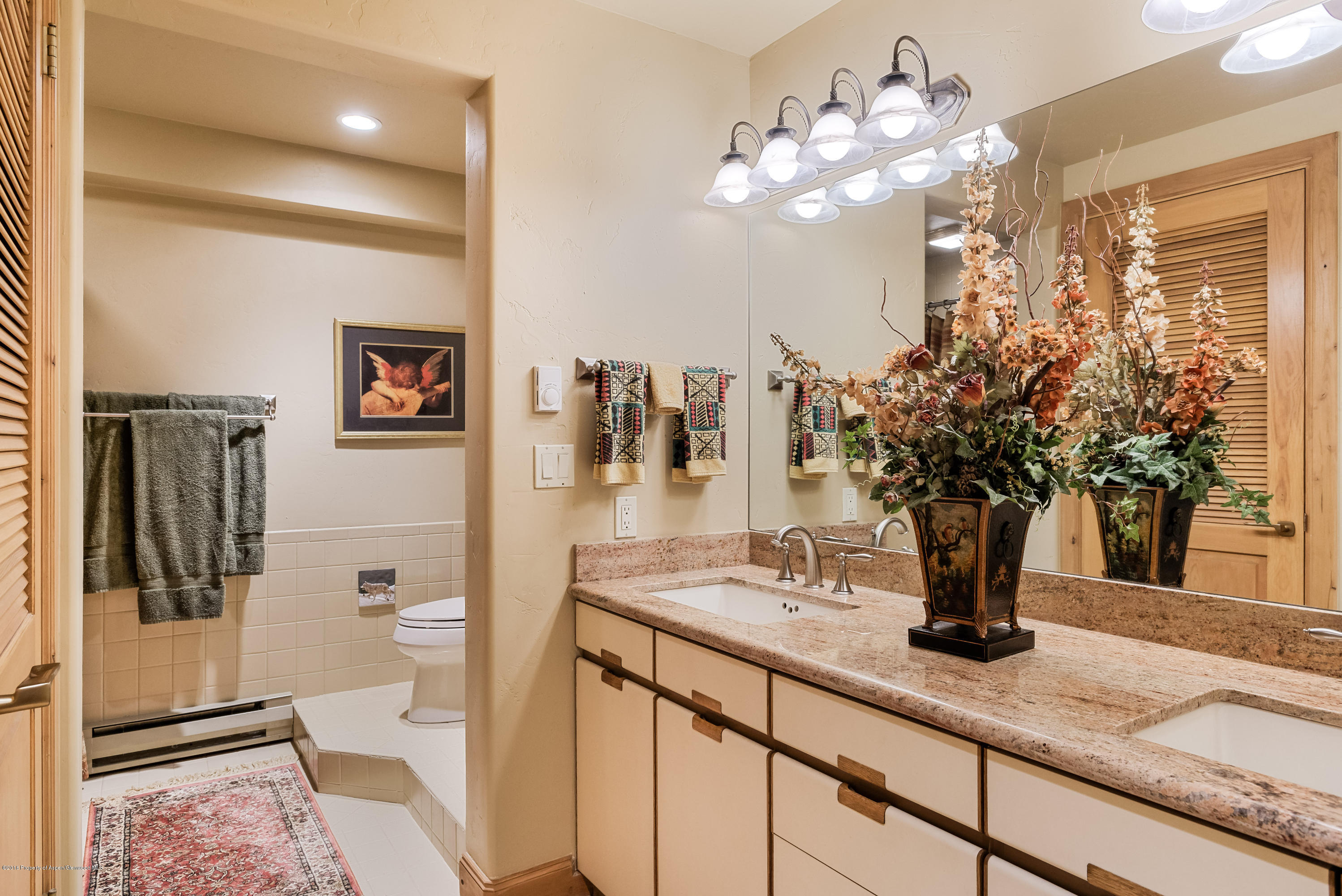 235 W Hopkins Avenue Aspen CO 81611