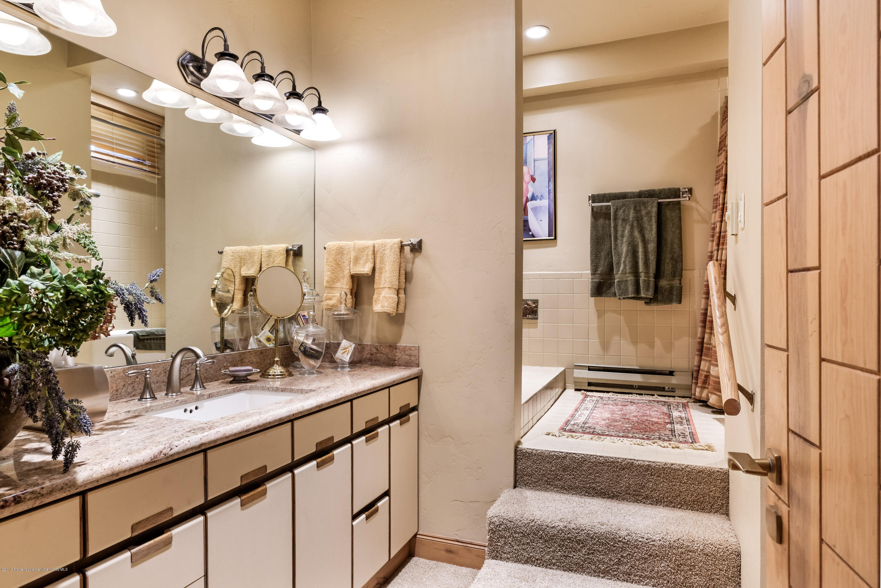 235 W Hopkins Avenue Aspen CO 81611