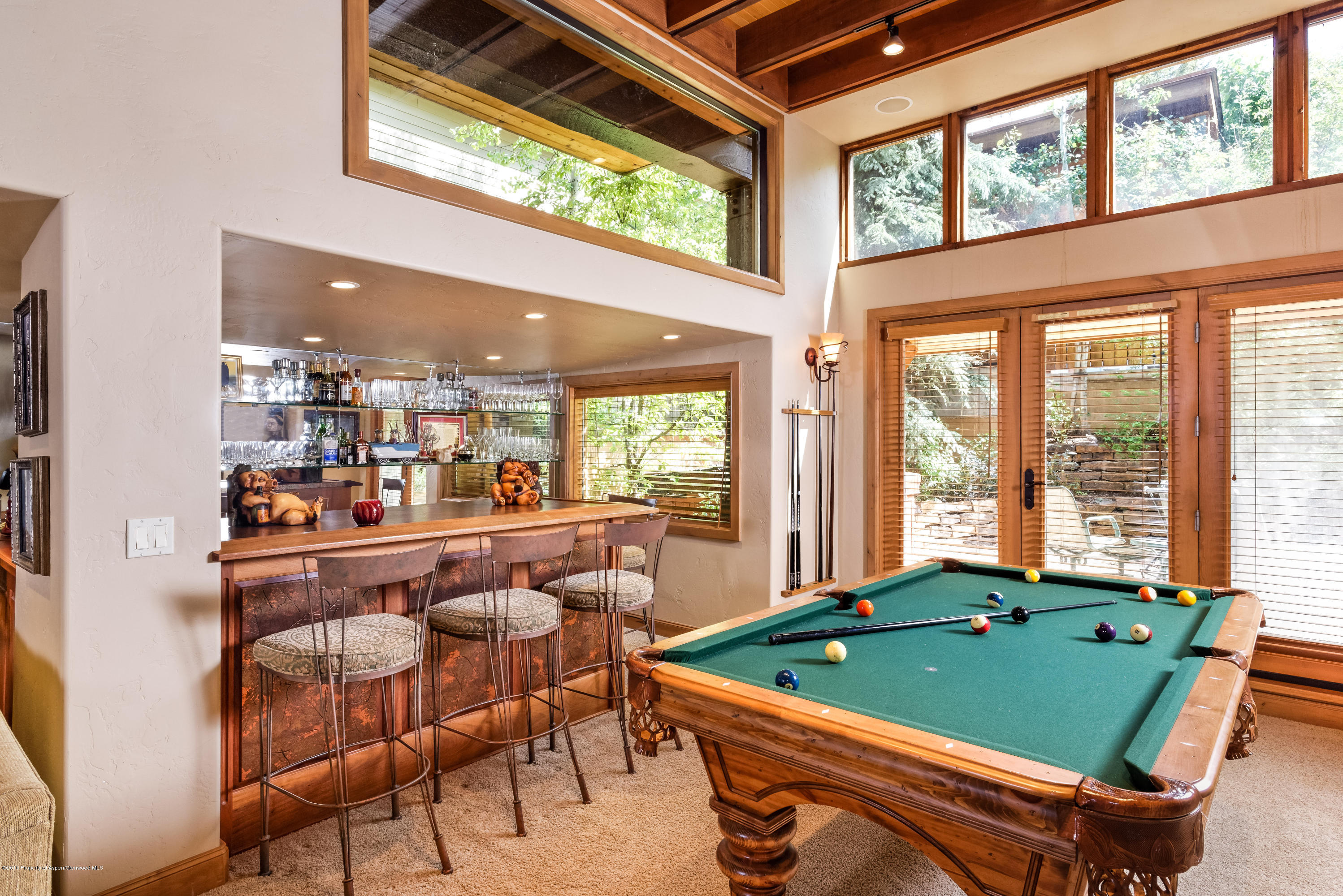 235 W Hopkins Avenue Aspen CO 81611