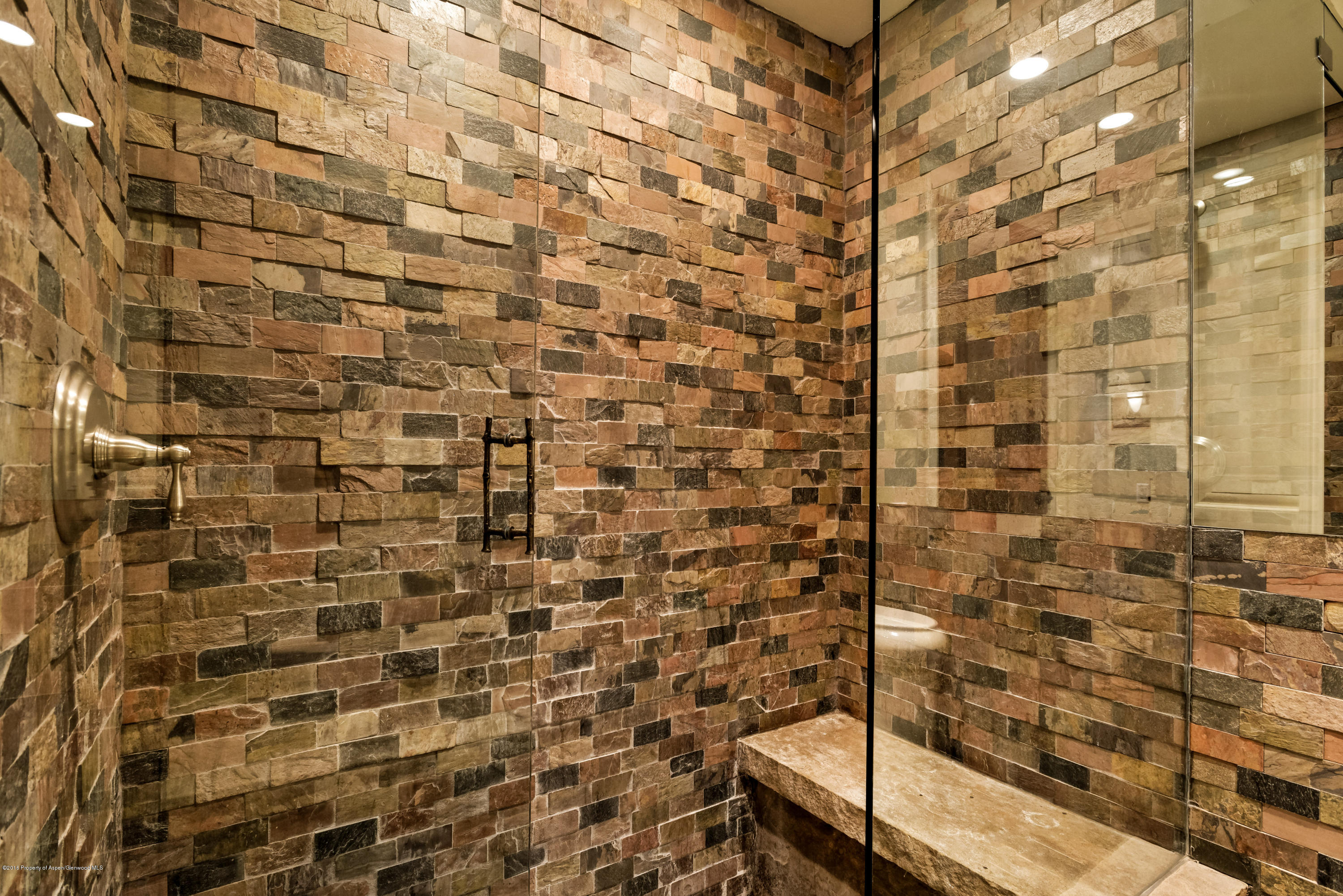 1016 E Hyman Avenue Aspen CO 81611