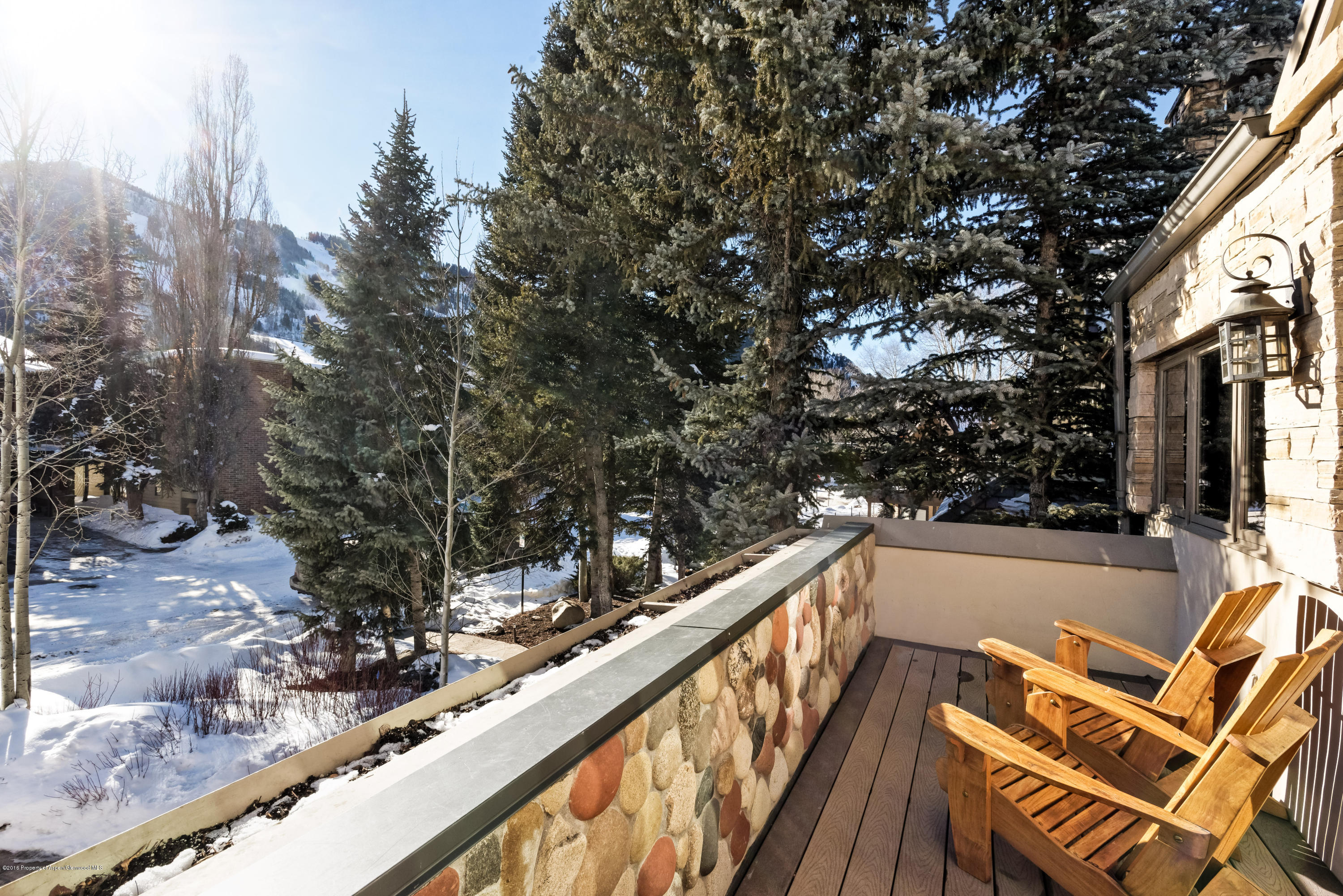 1016 E Hyman Avenue Aspen CO 81611