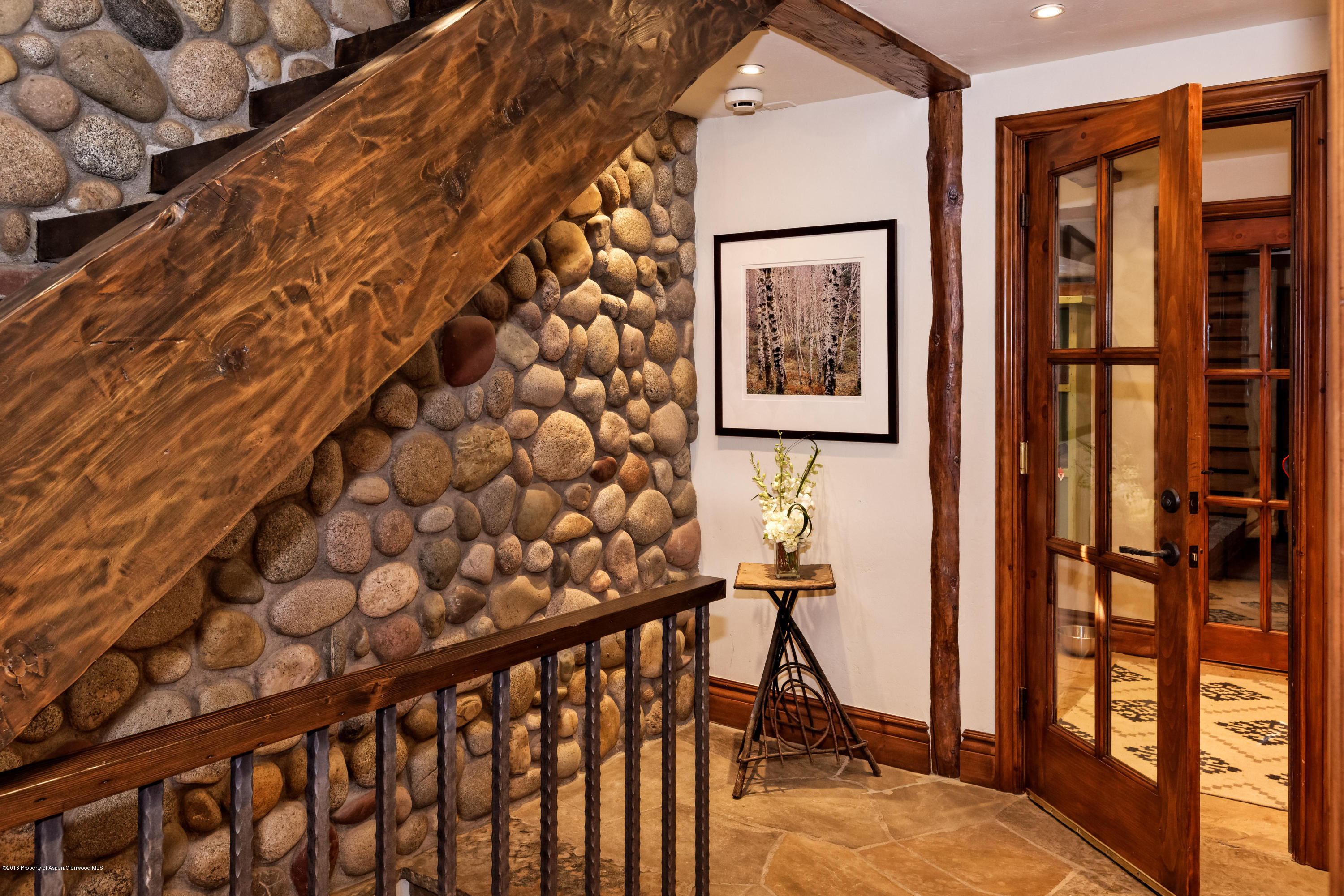 1016 E Hyman Avenue Aspen CO 81611
