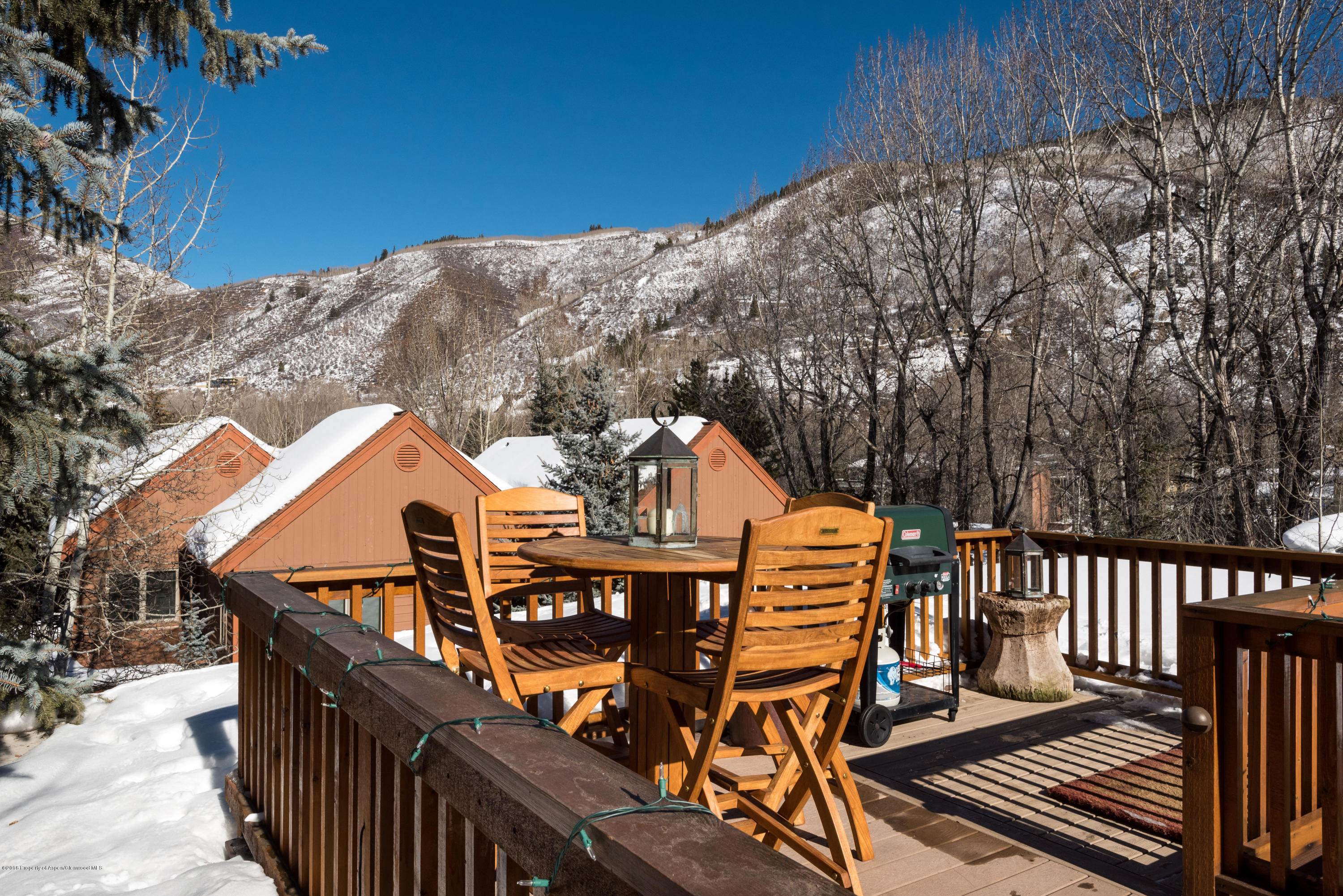1016 E Hyman Avenue Aspen CO 81611