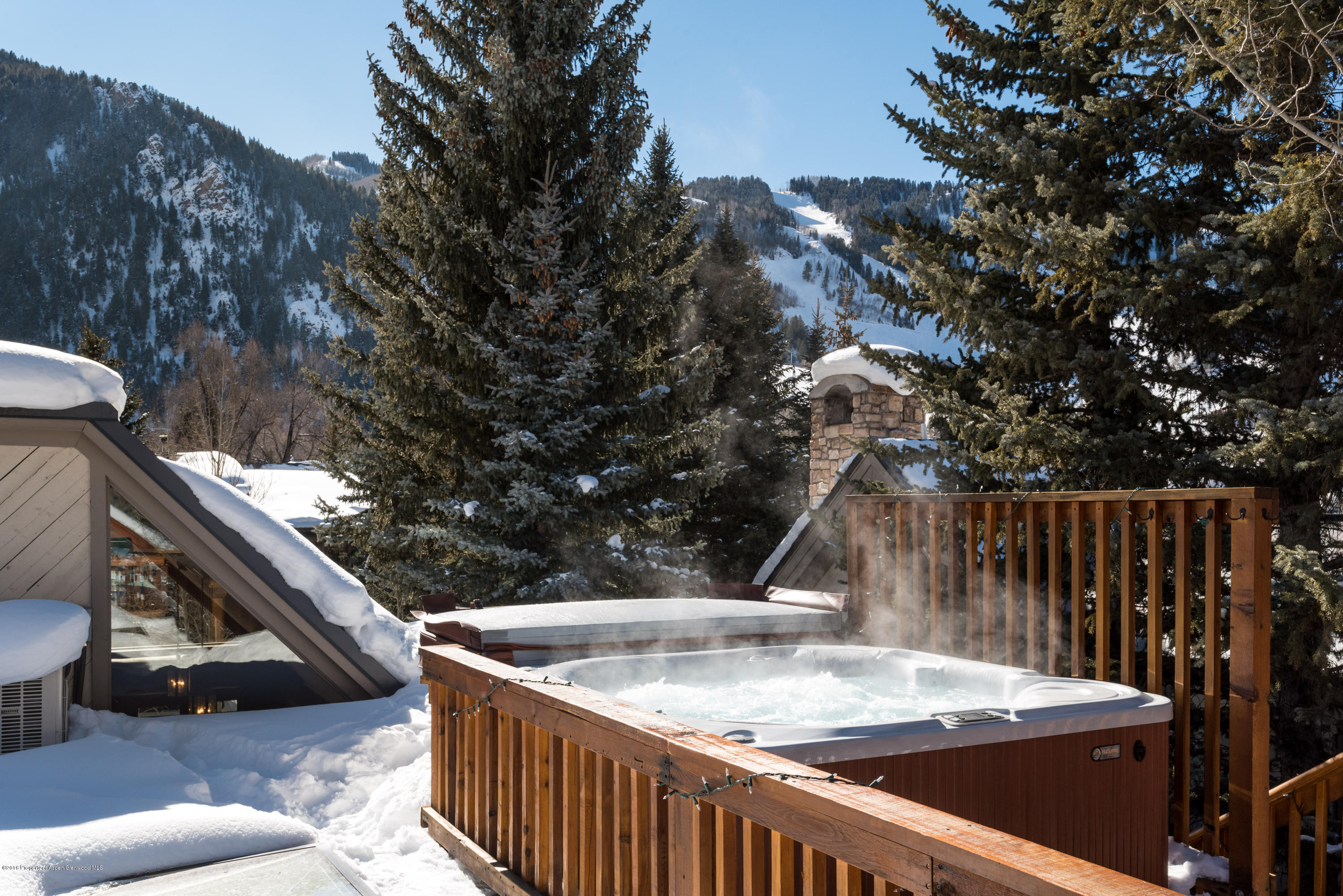 1016 E Hyman Avenue Aspen CO 81611