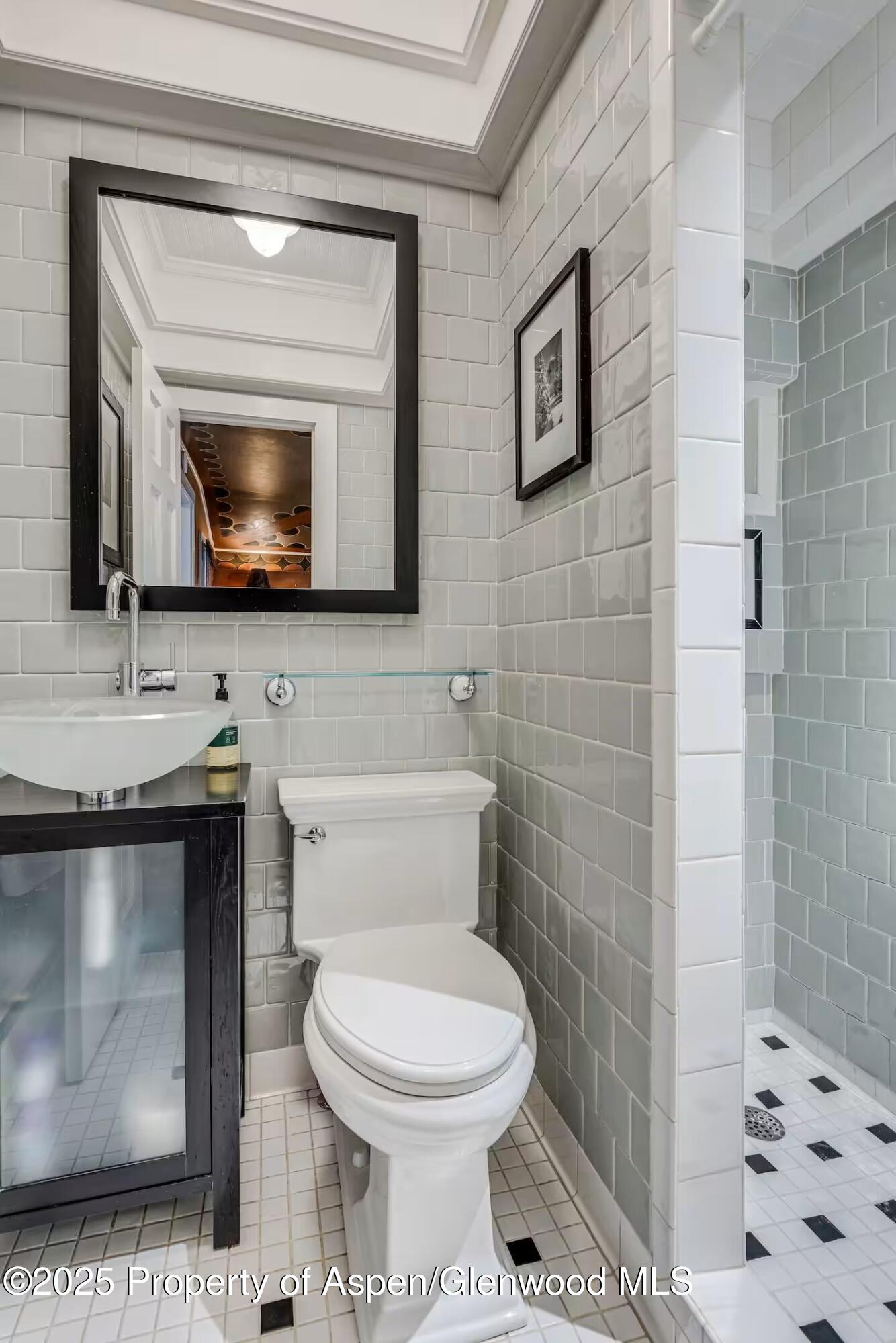 726 & 728 Blake Avenue Glenwood Springs CO 81601