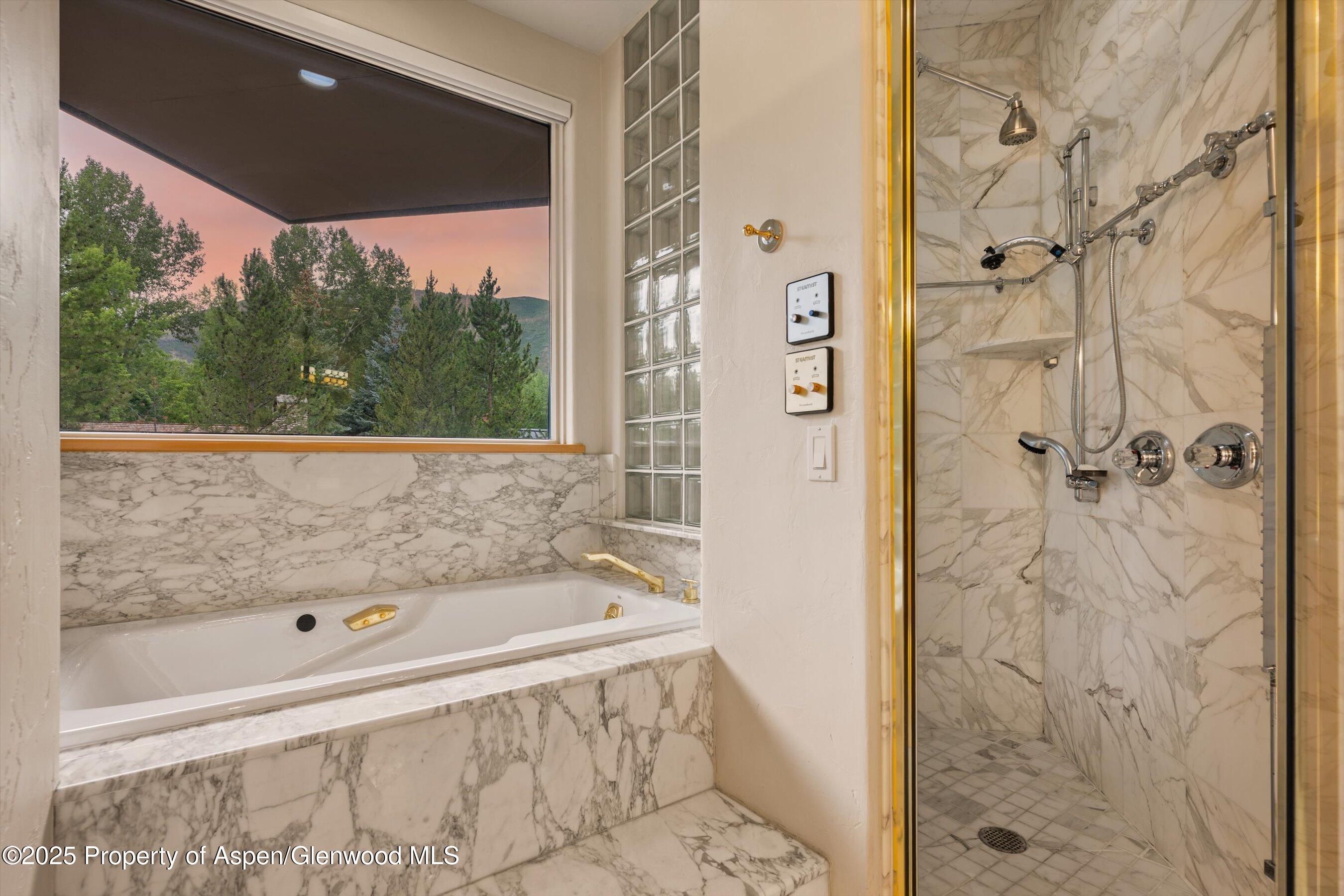 734 W Smuggler Street Aspen CO 81611