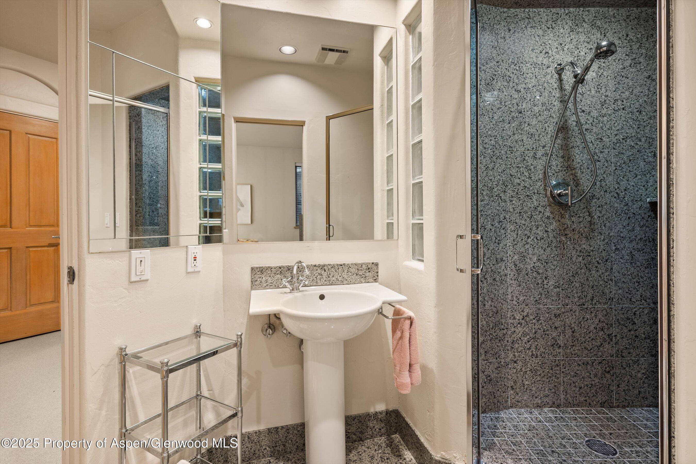 734 W Smuggler Street Aspen CO 81611