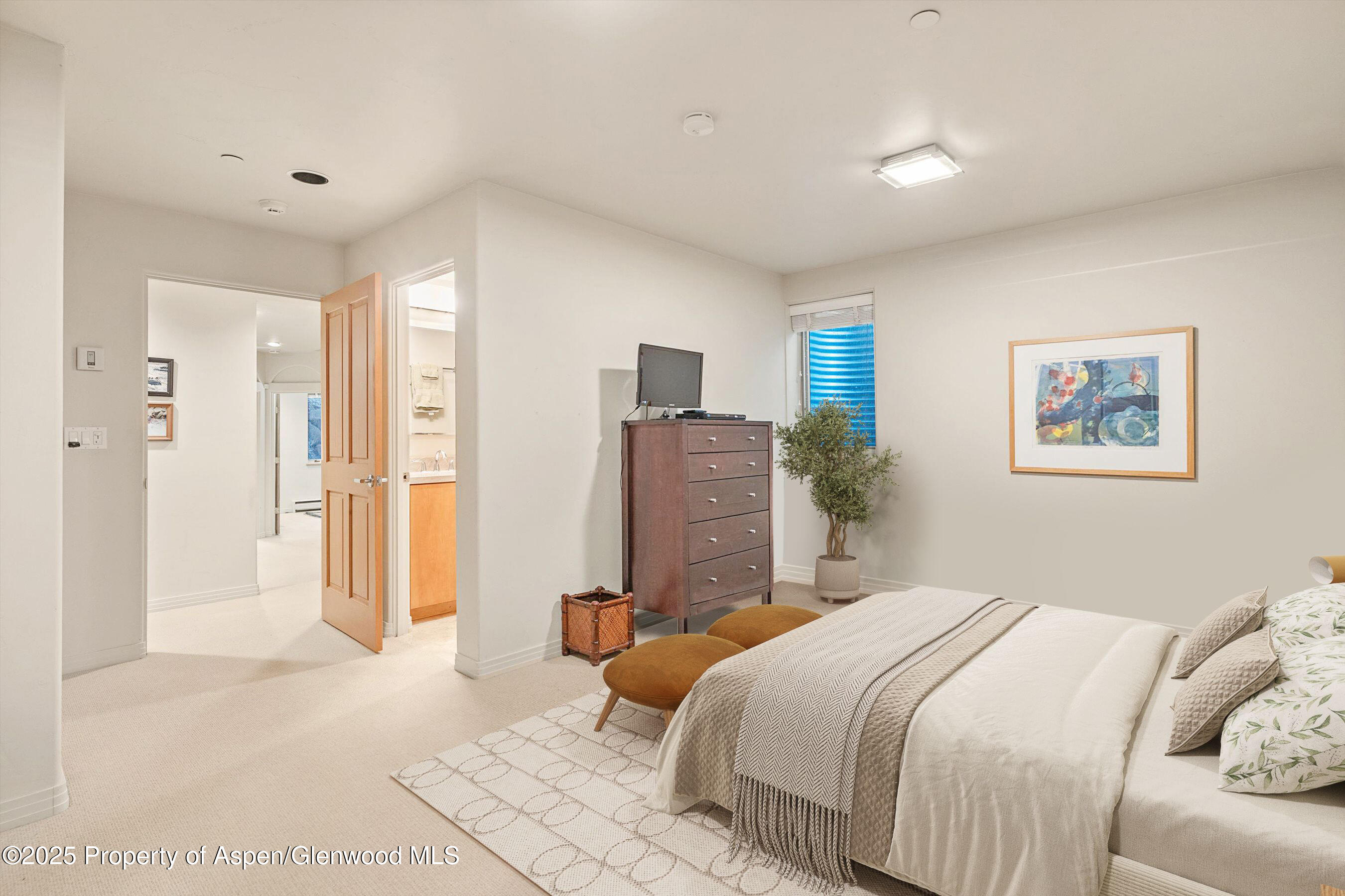 734 W Smuggler Street Aspen CO 81611