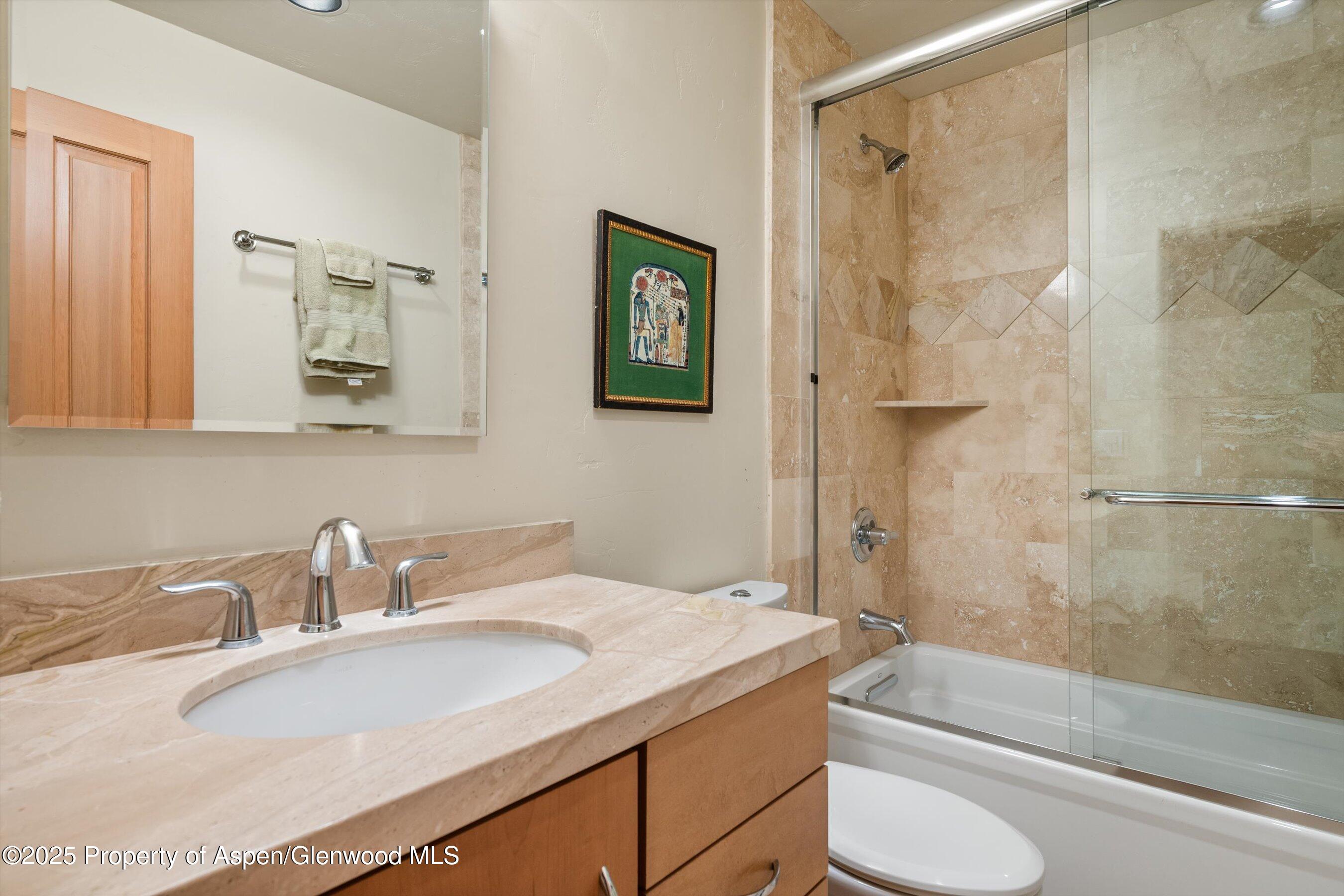 734 W Smuggler Street Aspen CO 81611