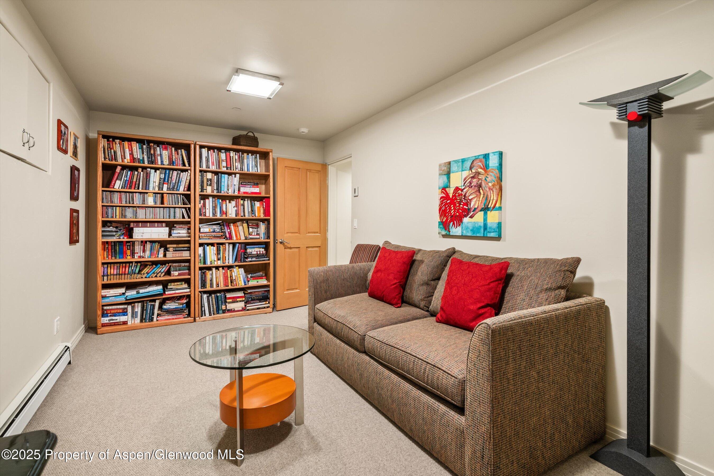 734 W Smuggler Street Aspen CO 81611
