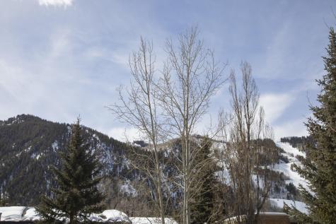 1016 E Hyman Avenue Aspen CO 81611