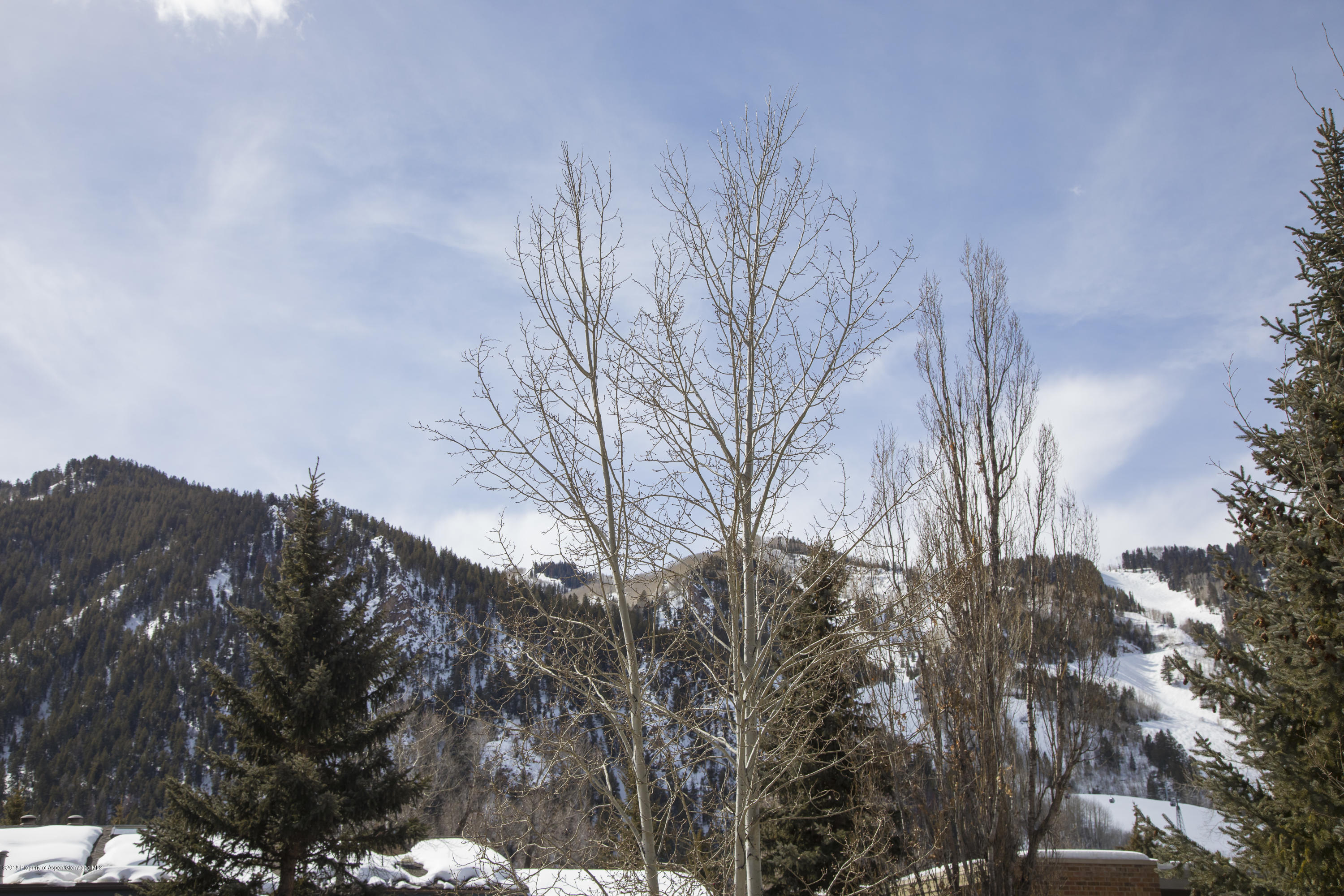 1016 E Hyman Avenue Aspen CO 81611