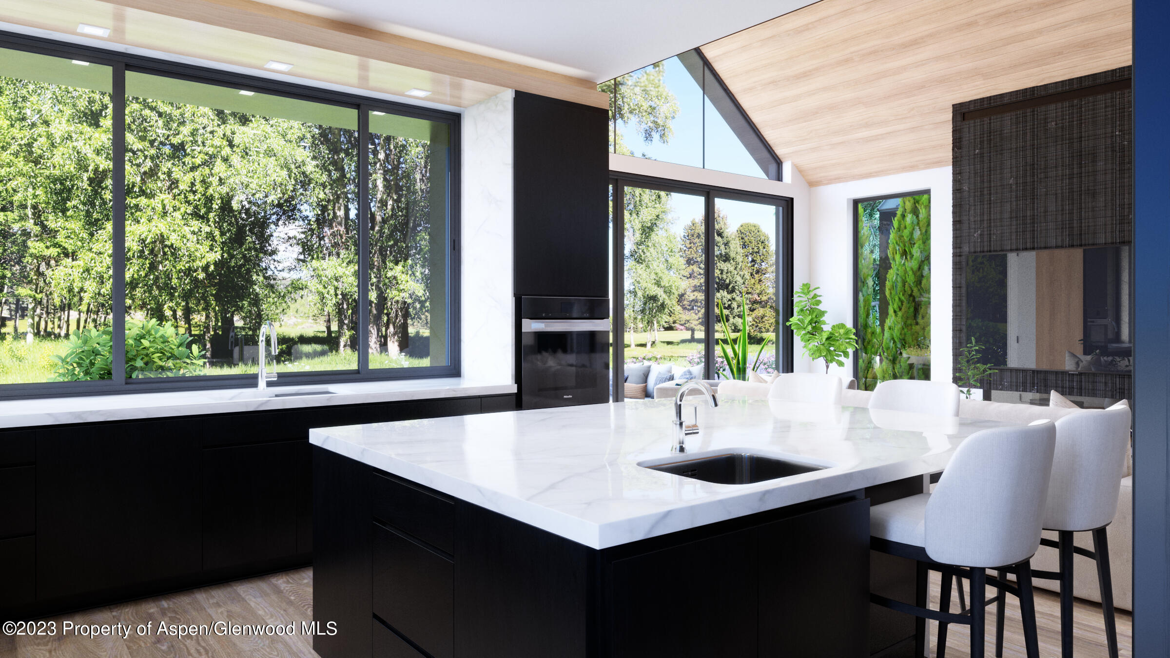 767 Cemetery Lane Aspen CO 81611