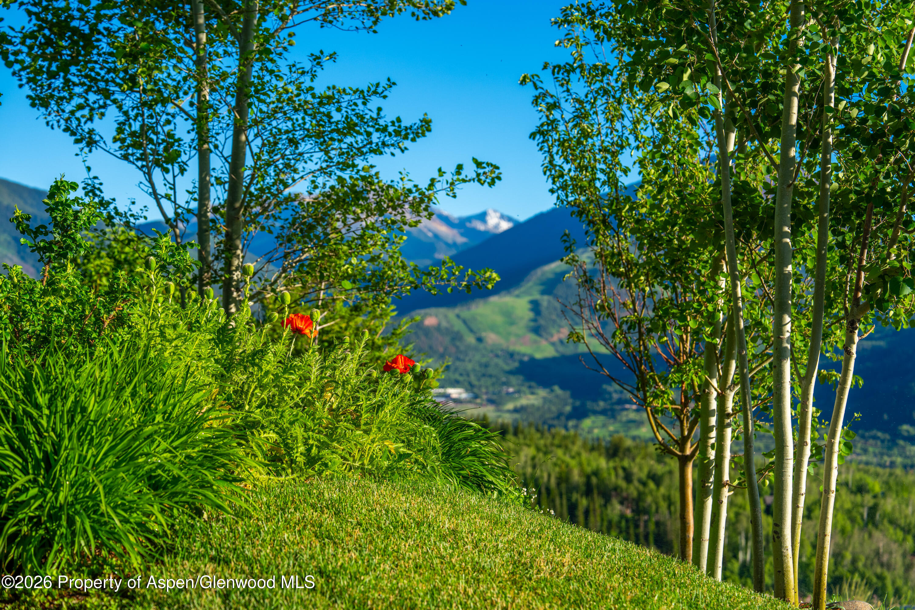 542 Carroll Drive Aspen CO 81611