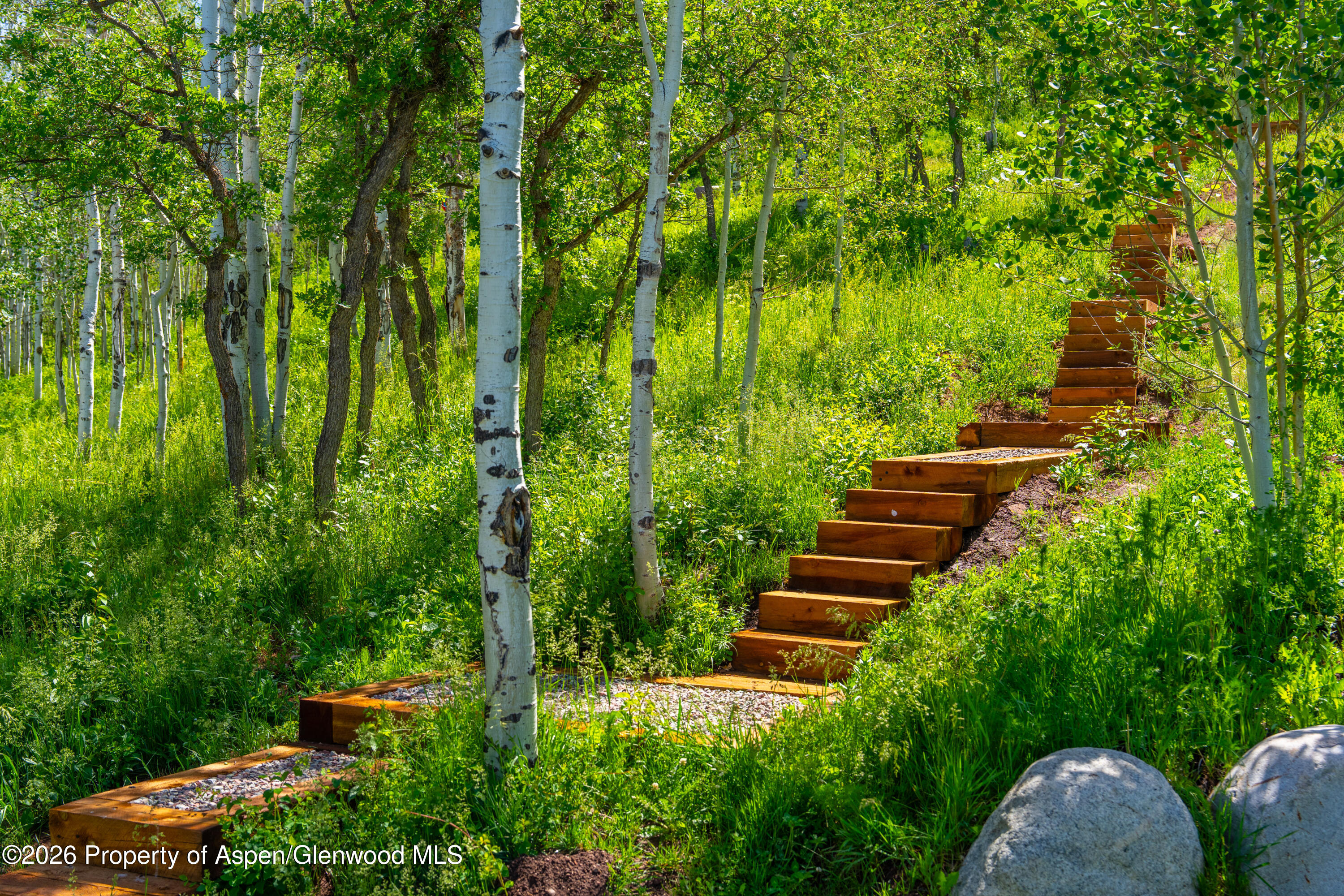 542 Carroll Drive Aspen CO 81611