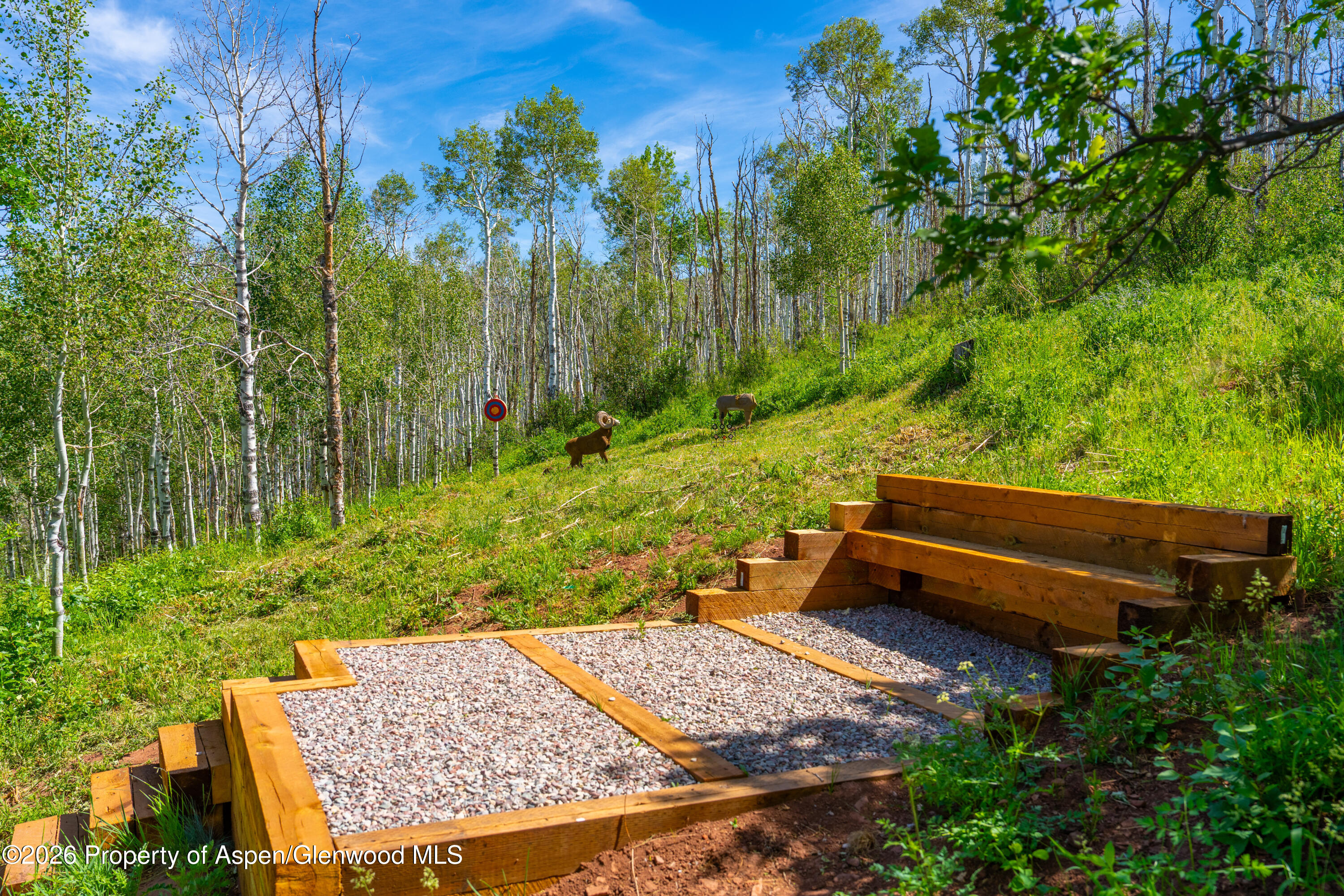 542 Carroll Drive Aspen CO 81611