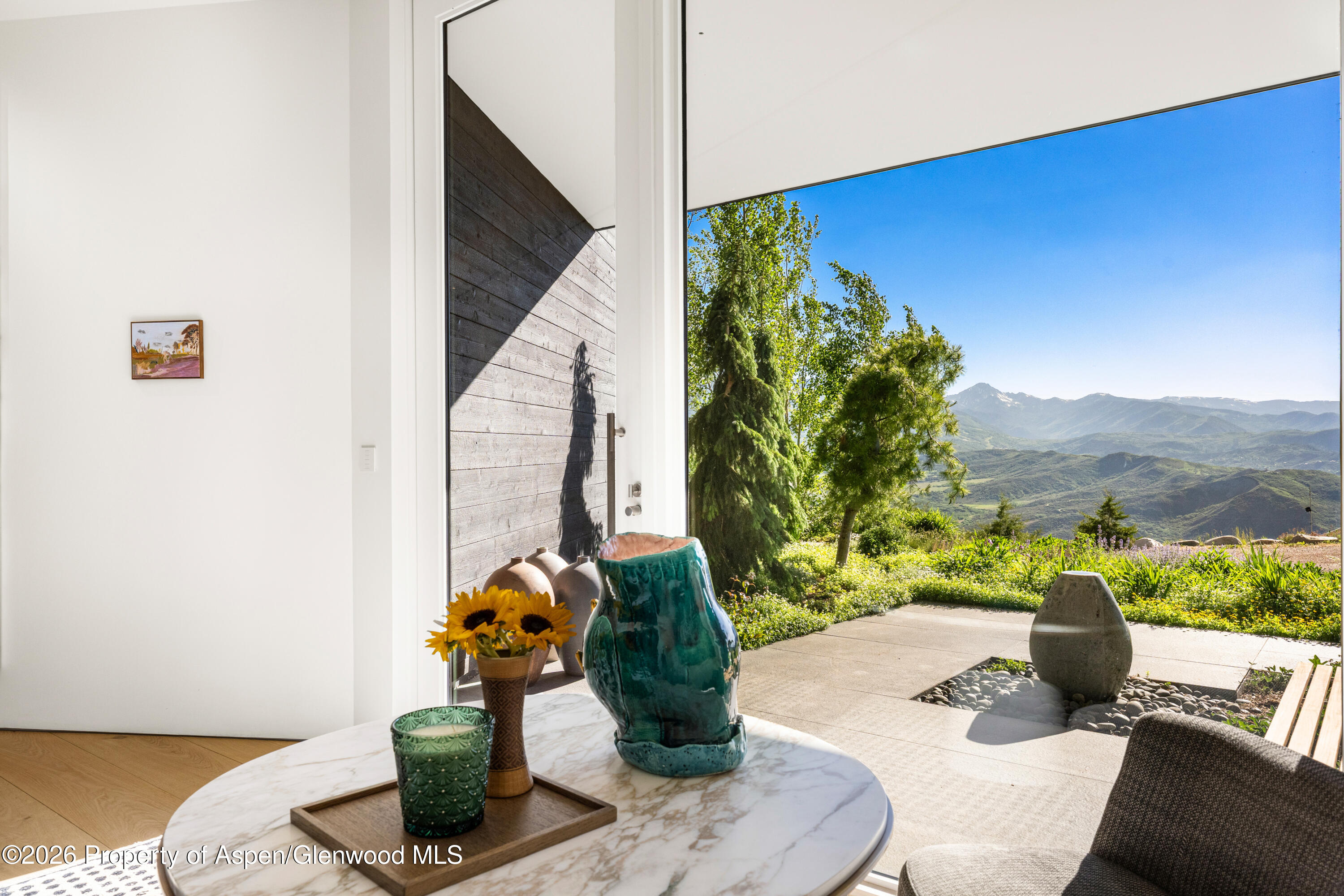542 Carroll Drive Aspen CO 81611