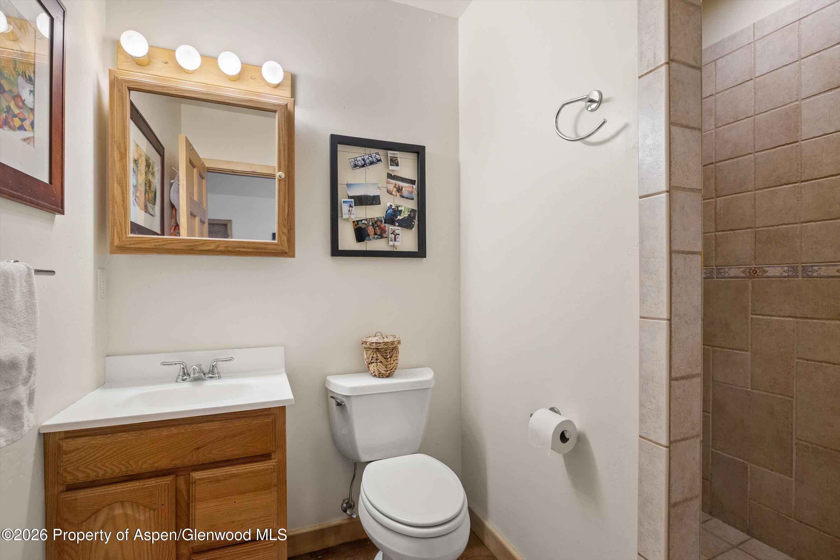 345 Elk Range Road Carbondale CO 81623