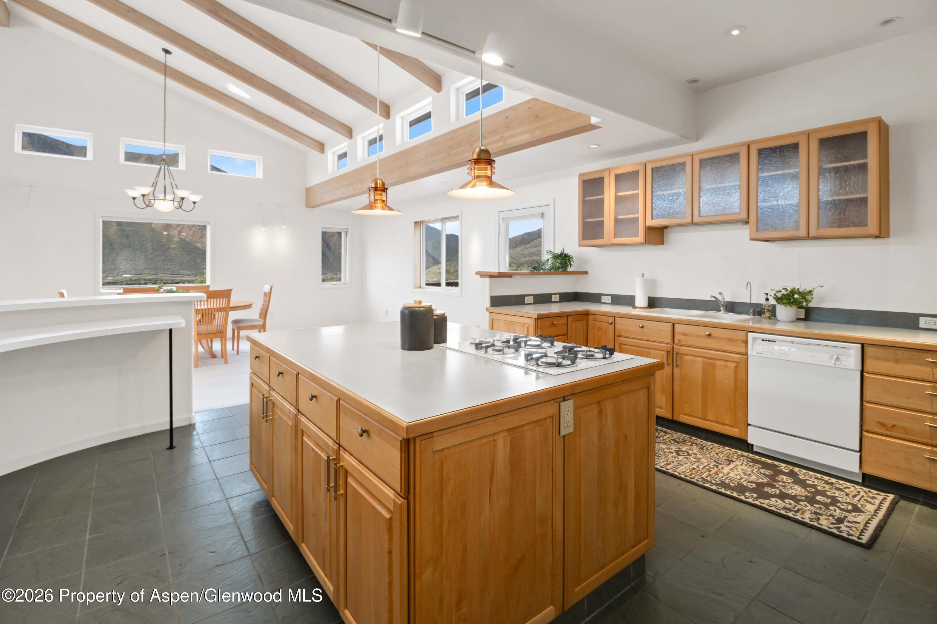 60 Cardinal Lane Glenwood Springs CO 81601