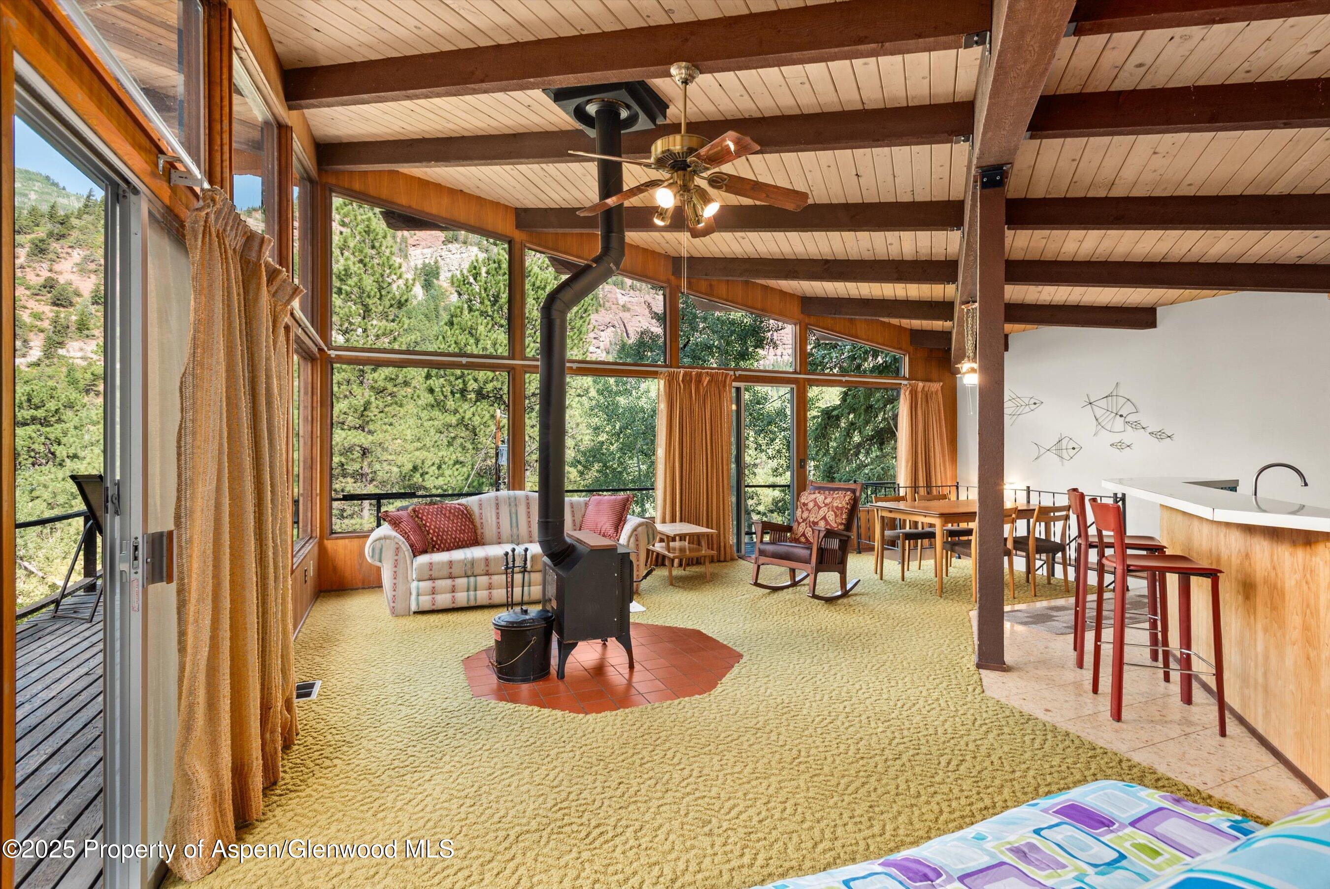 209 Big Horn Lane Redstone CO 81623