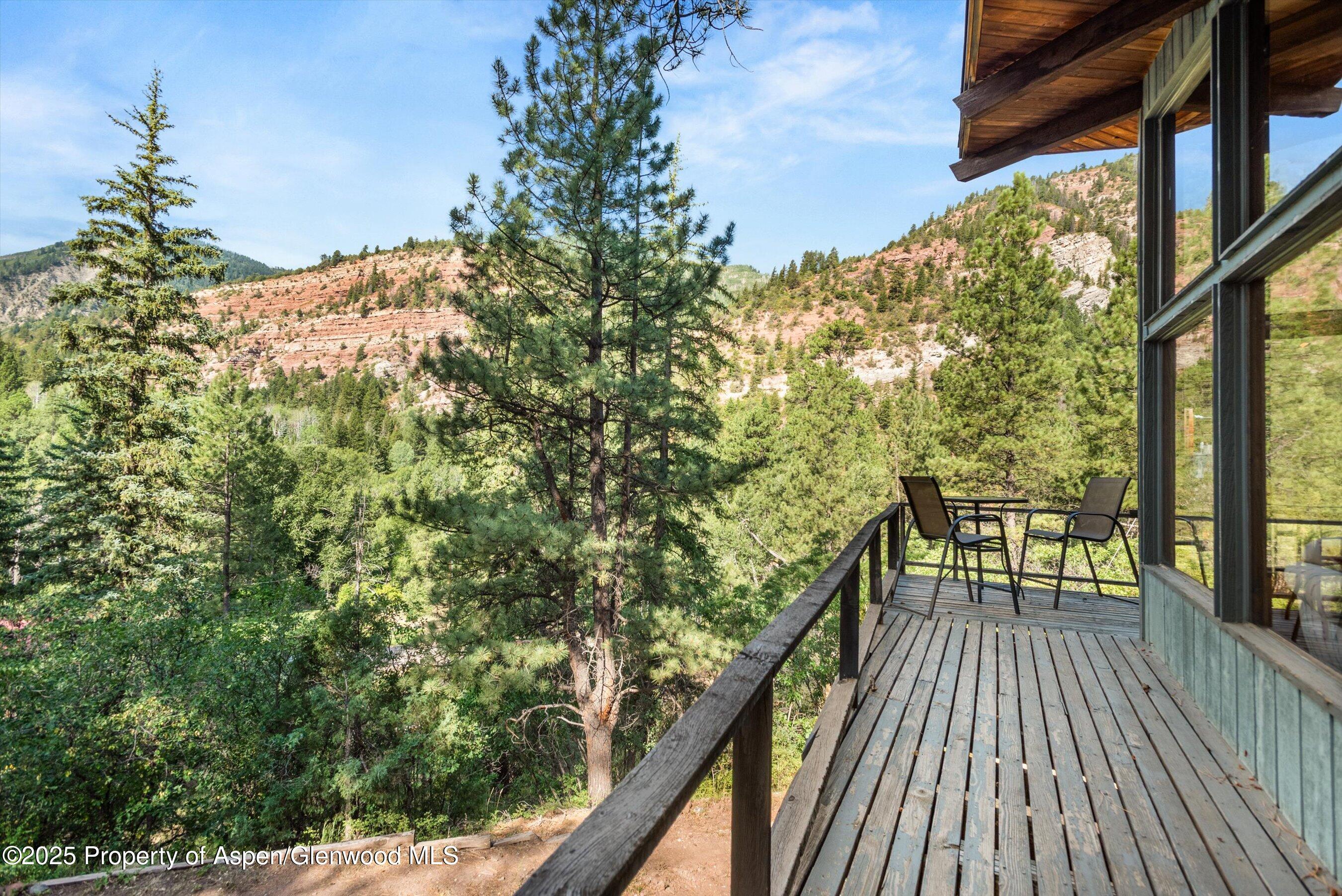 209 Big Horn Lane Redstone CO 81623