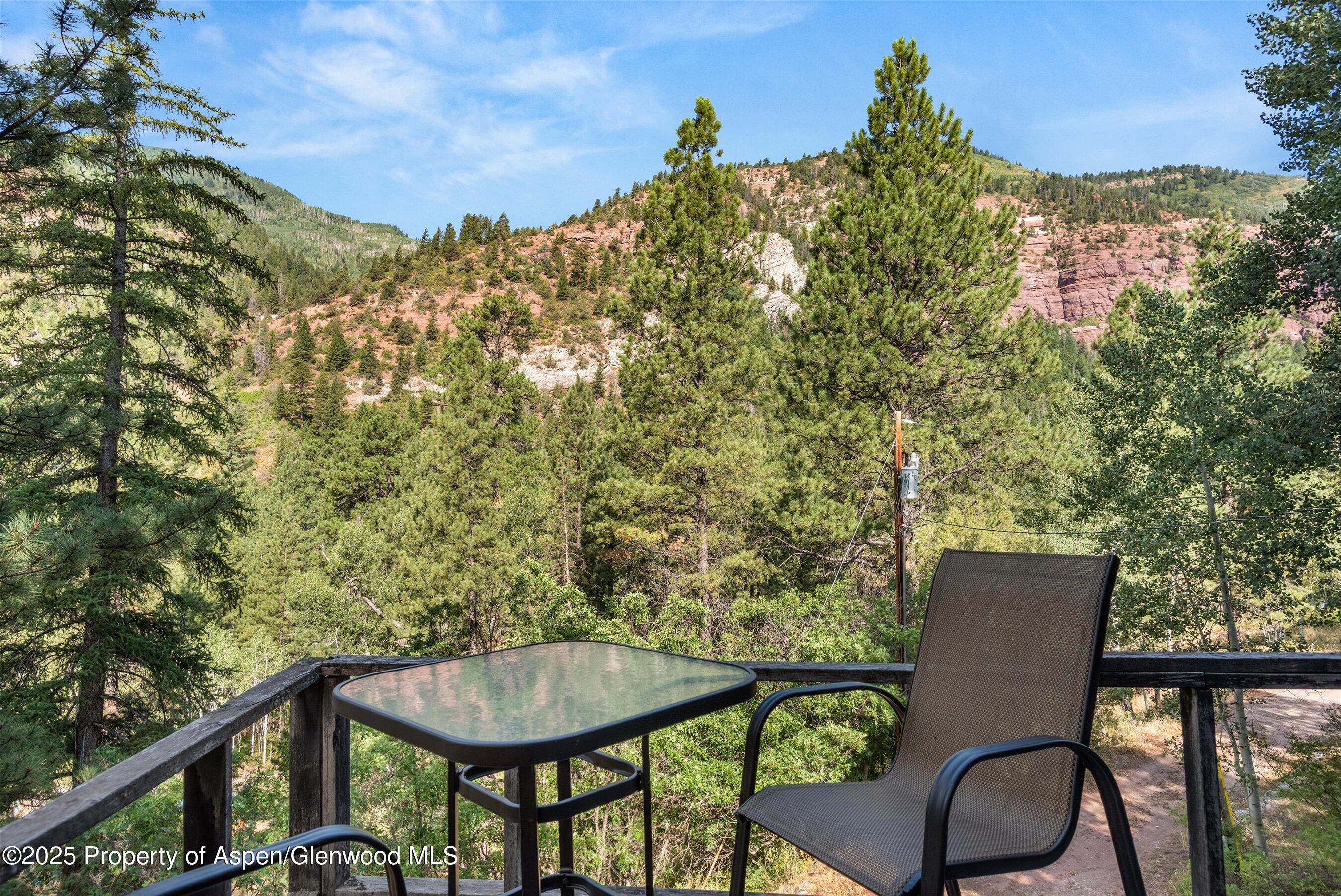 209 Big Horn Lane Redstone CO 81623