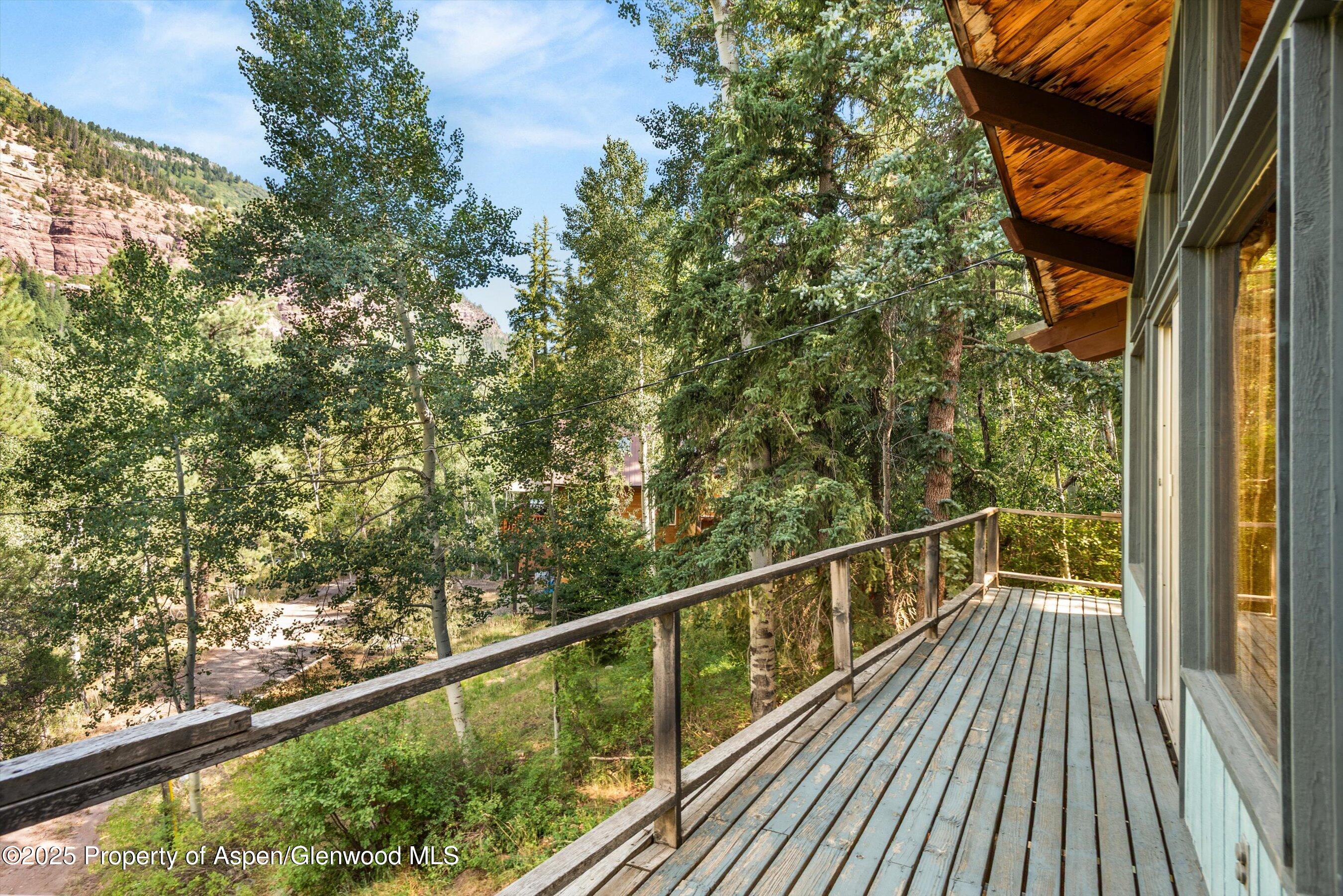 209 Big Horn Lane Redstone CO 81623