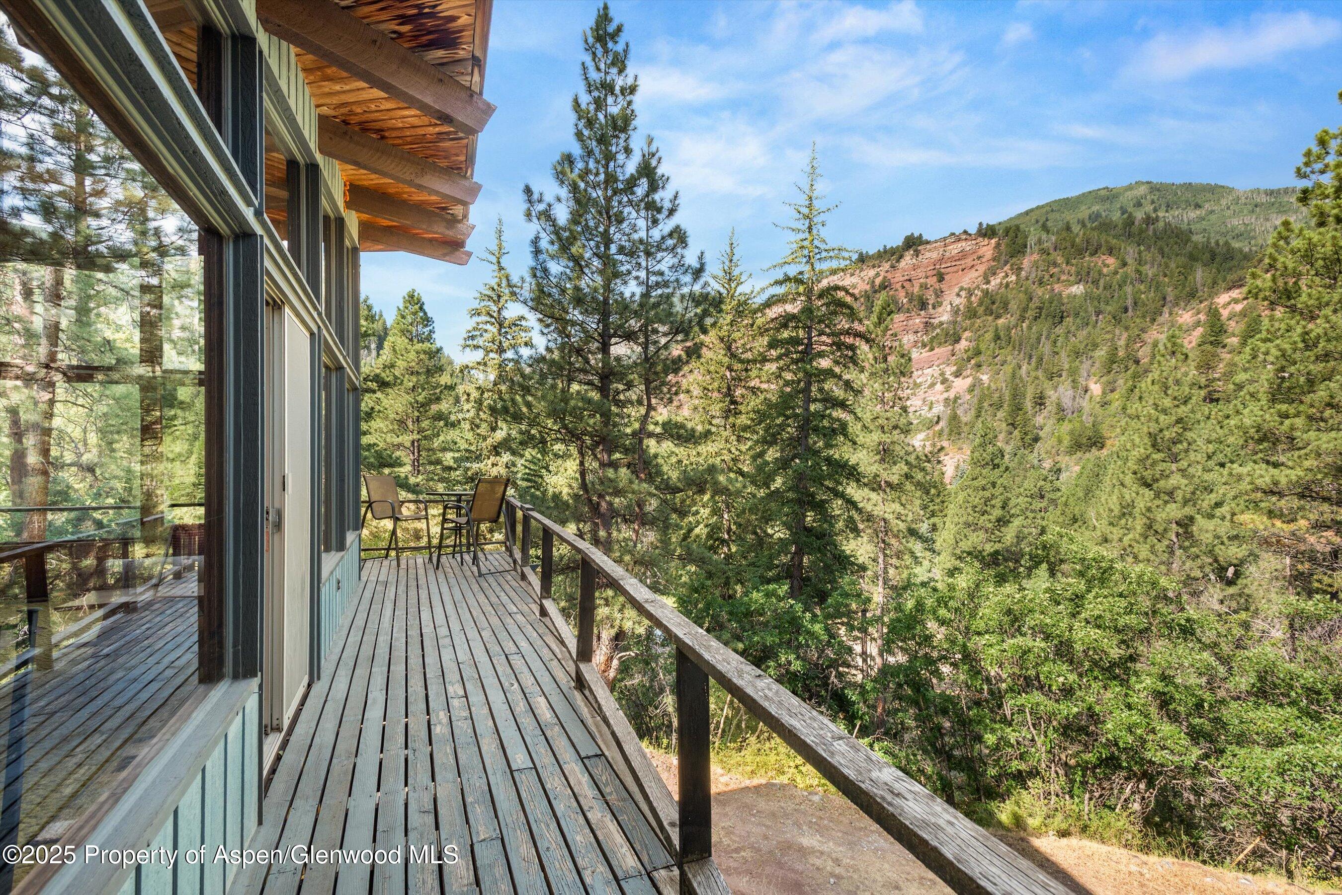 209 Big Horn Lane Redstone CO 81623