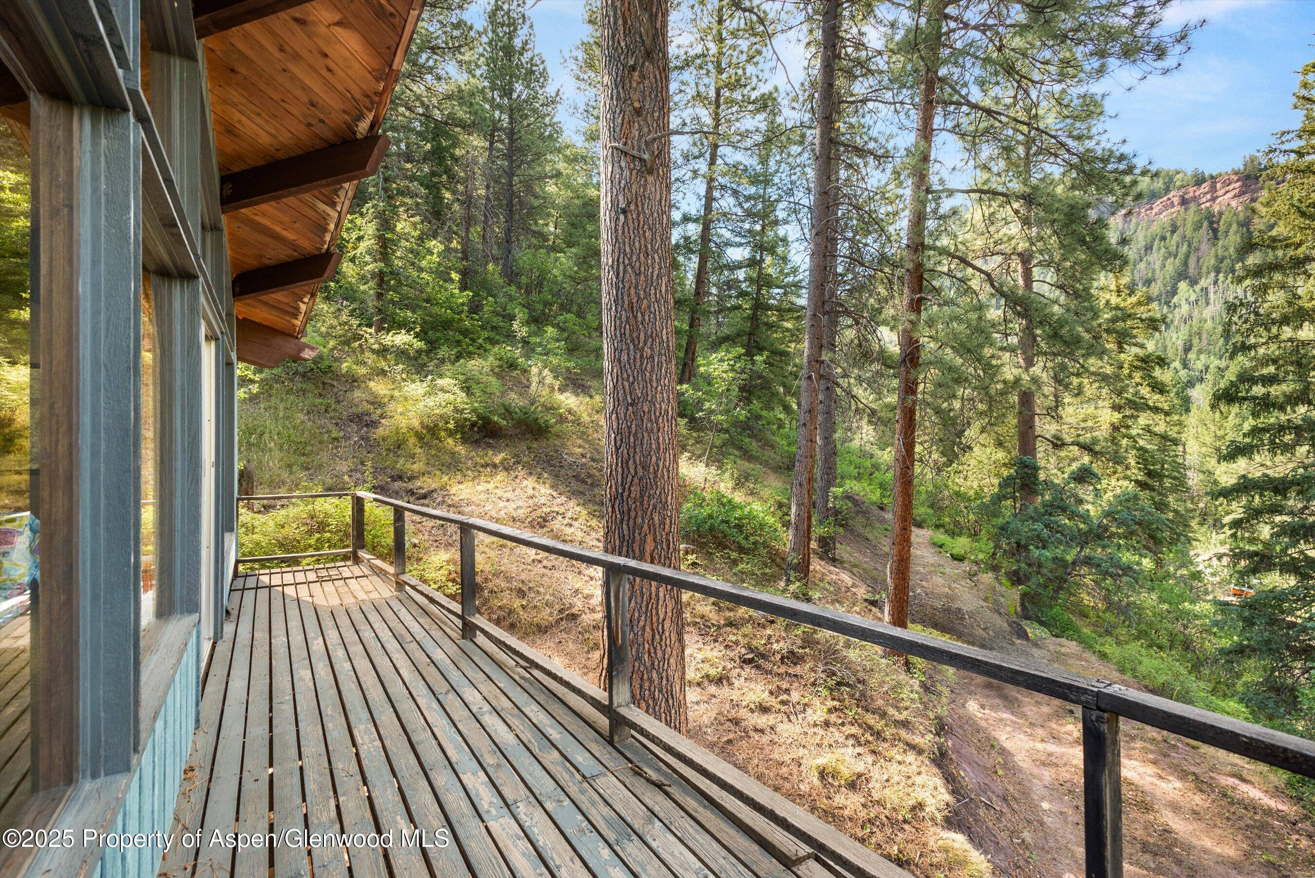 209 Big Horn Lane Redstone CO 81623