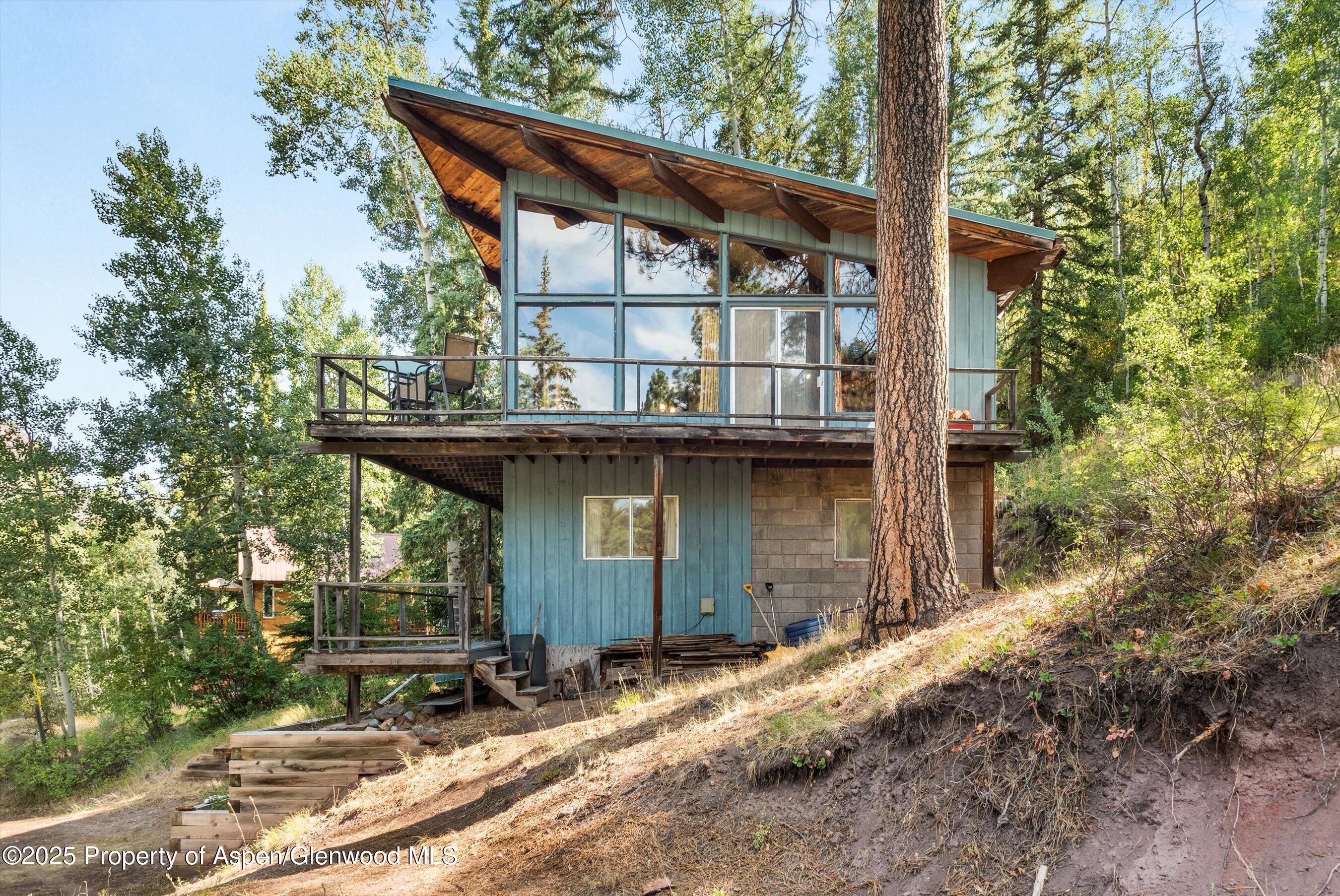 209 Big Horn Lane Redstone CO 81623