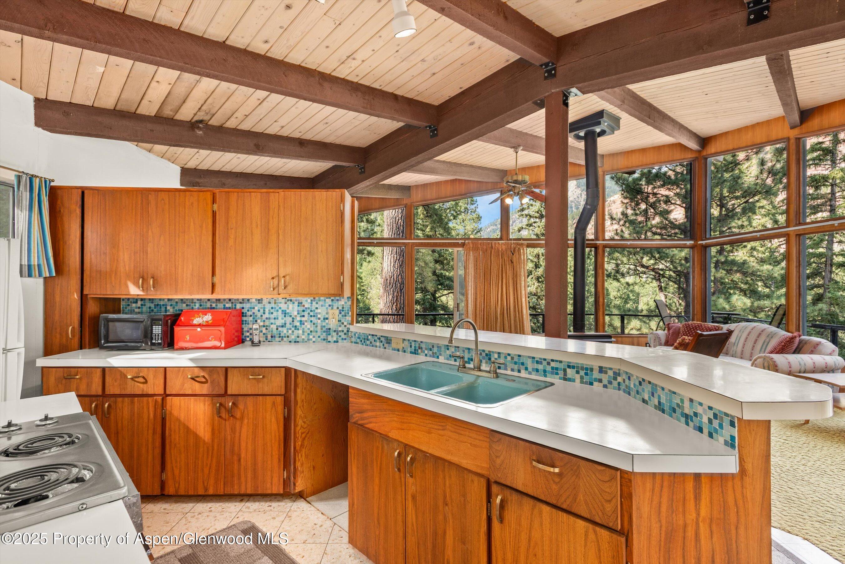 209 Big Horn Lane Redstone CO 81623