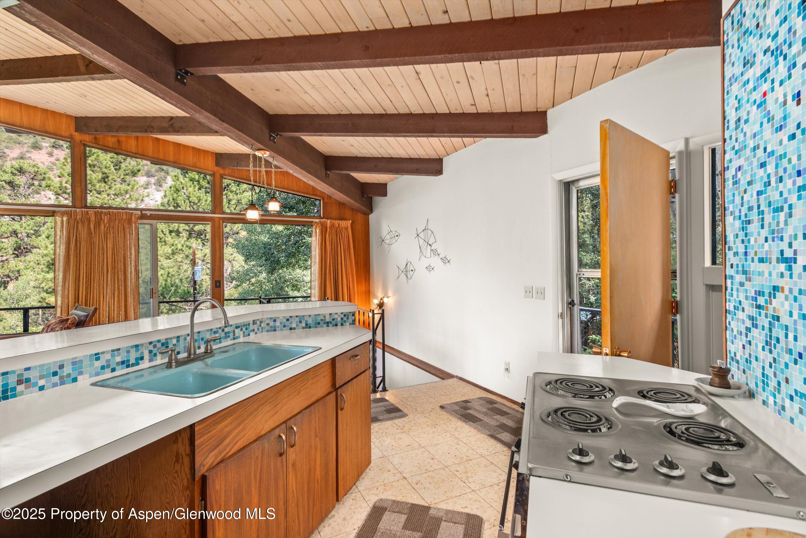 209 Big Horn Lane Redstone CO 81623