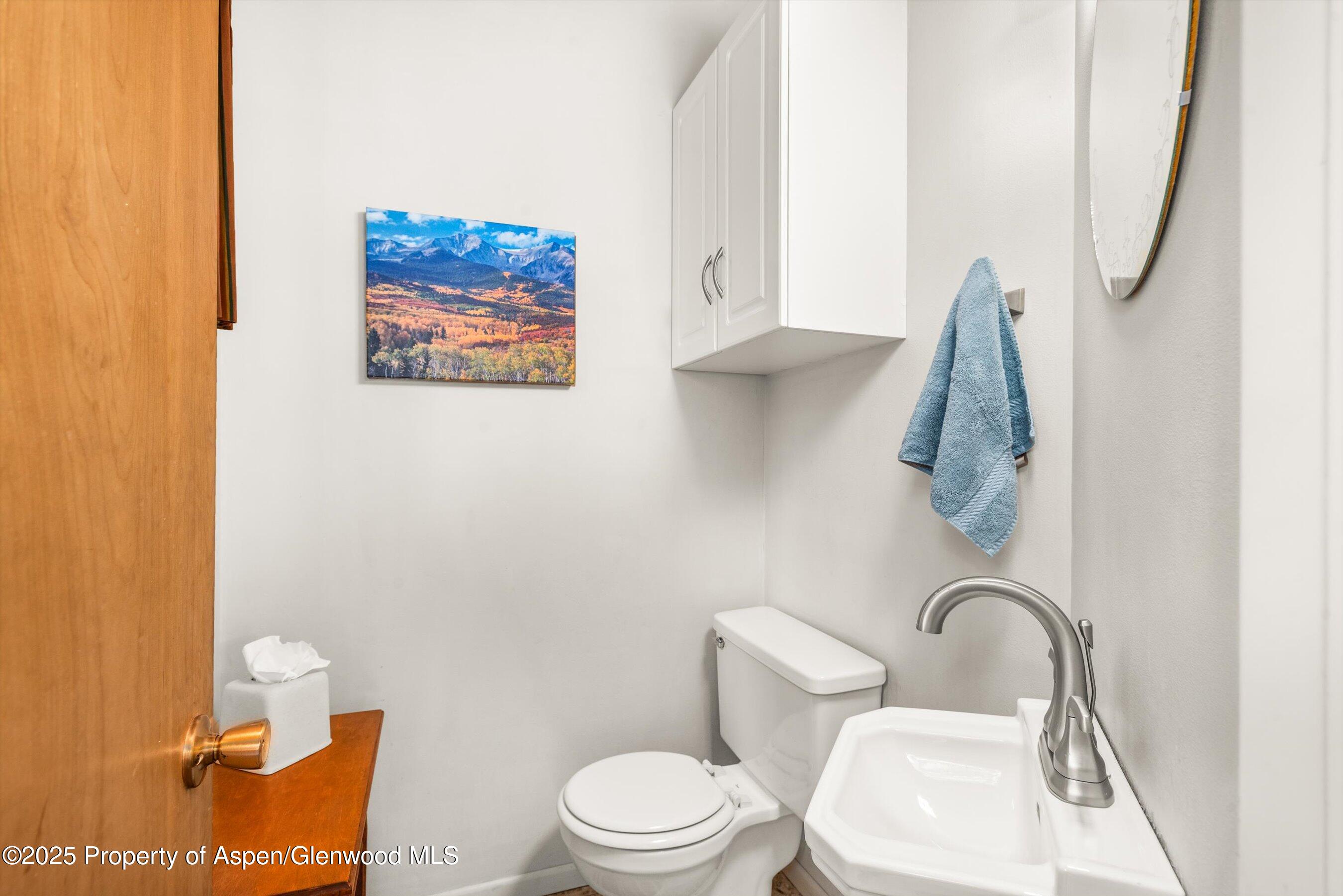 209 Big Horn Lane Redstone CO 81623