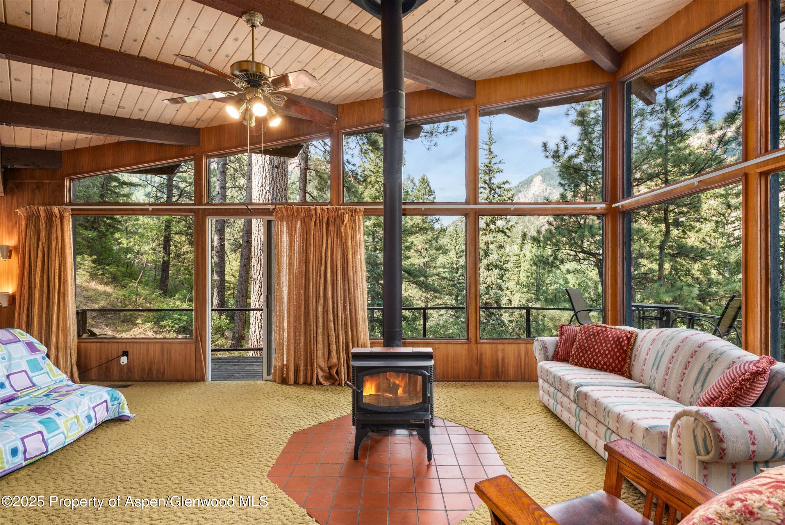 209 Big Horn Lane Redstone CO 81623