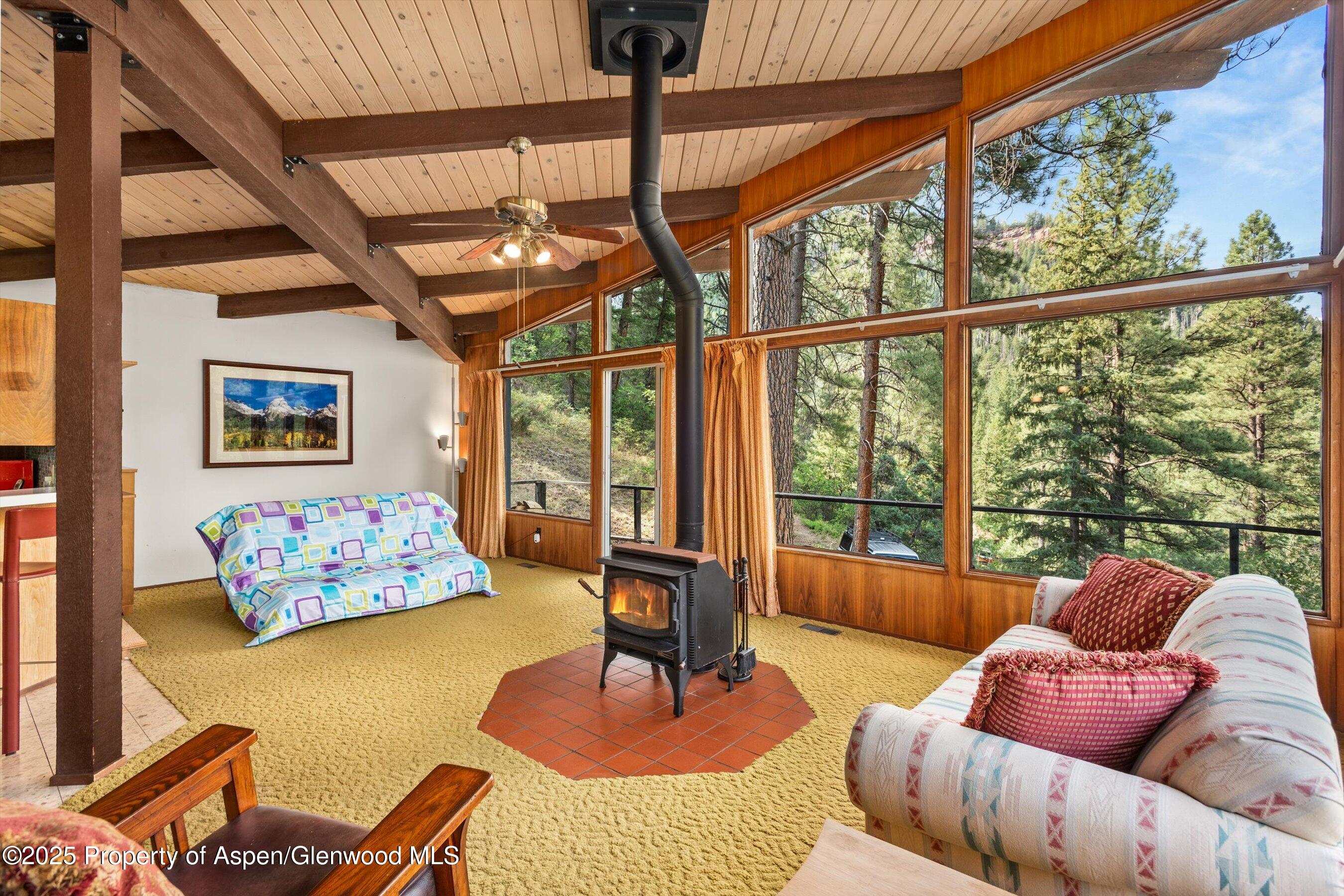209 Big Horn Lane Redstone CO 81623