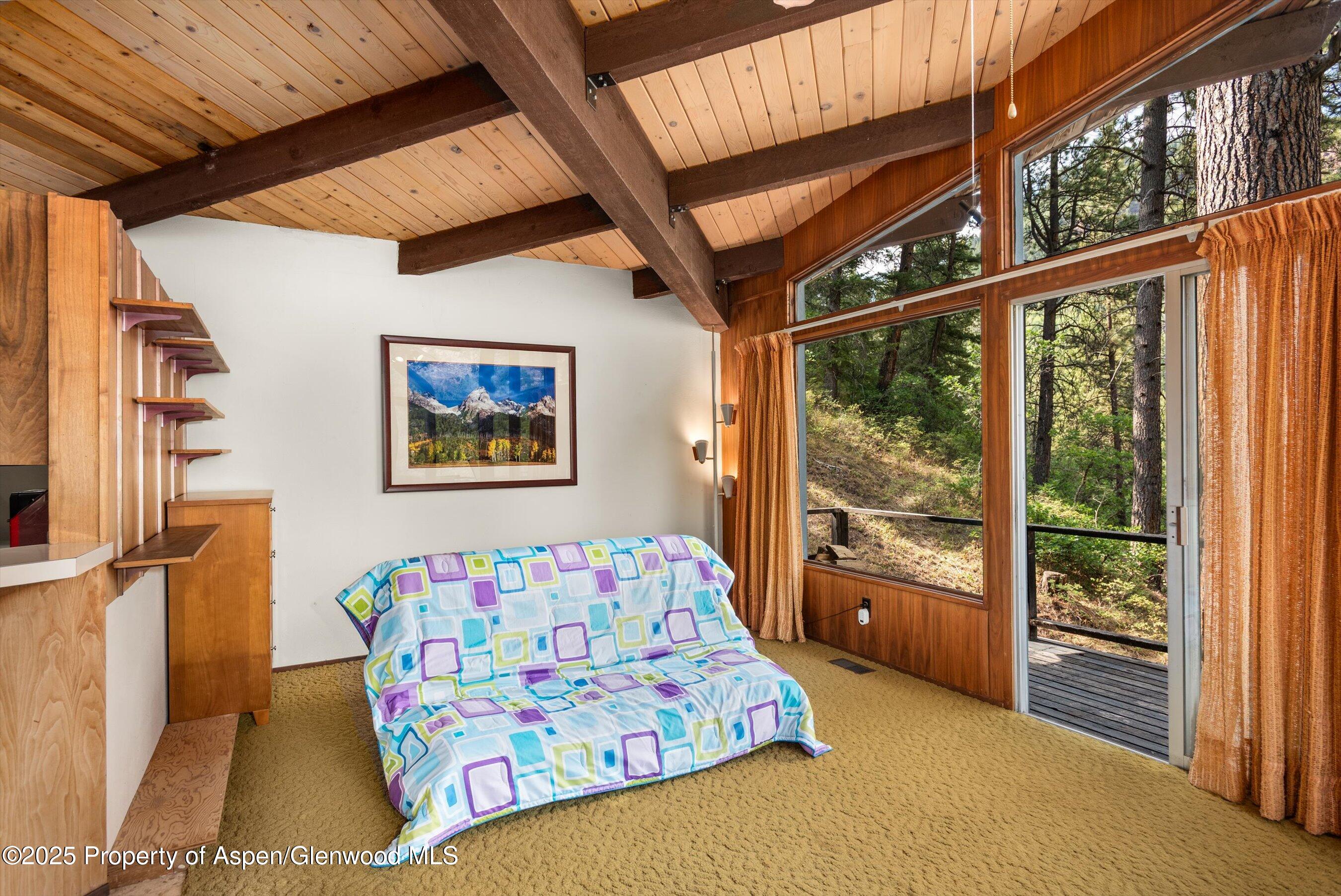 209 Big Horn Lane Redstone CO 81623