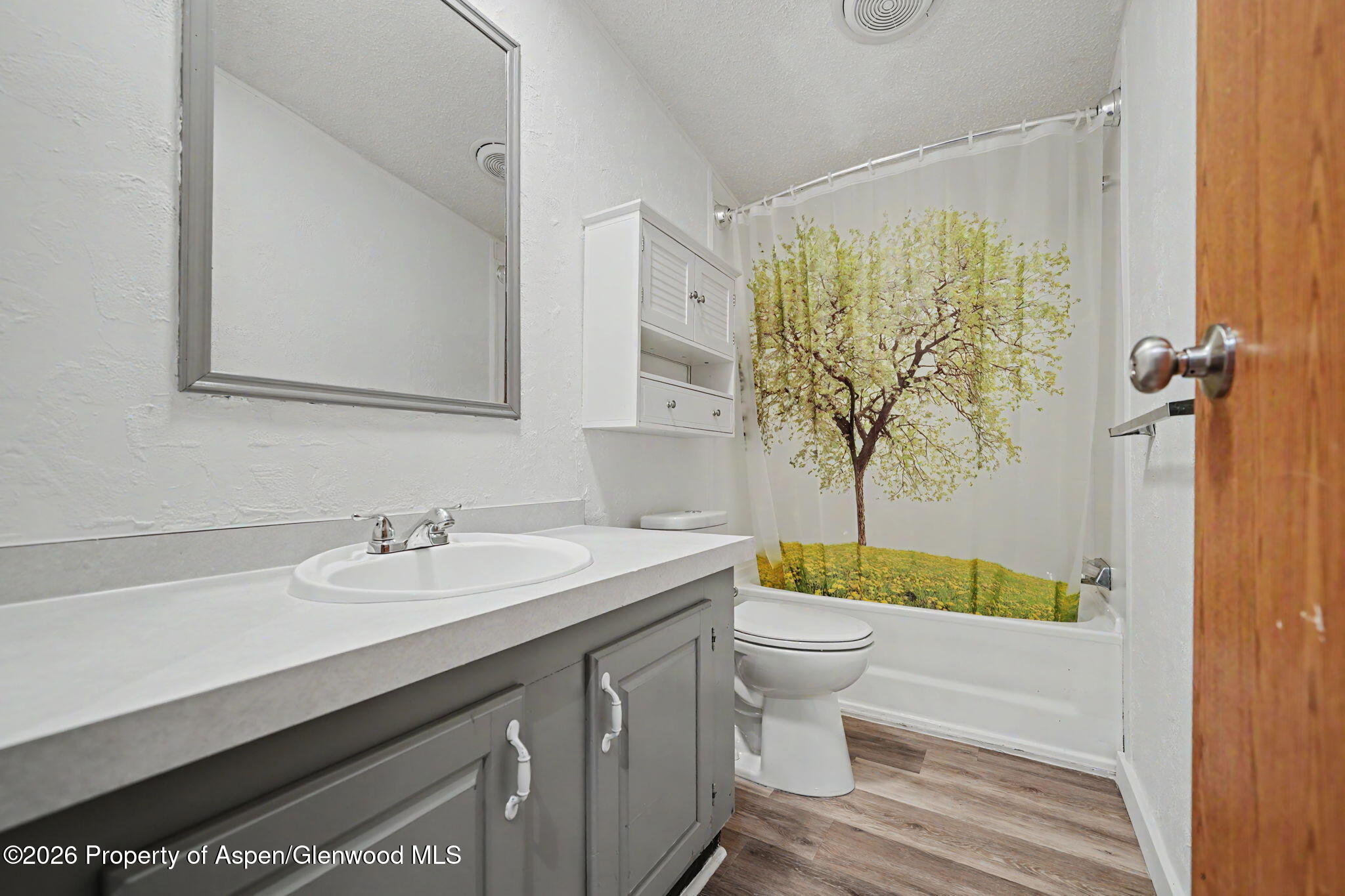 23 E Bonanza Place Battlement Mesa CO 81635