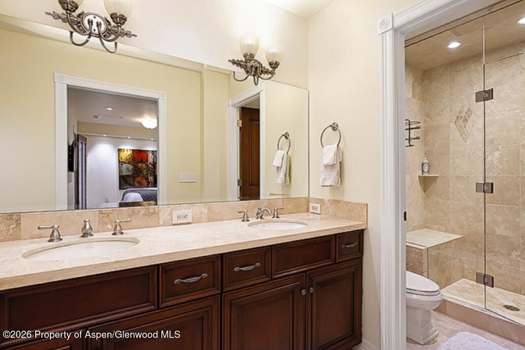 213 W Bleeker Street Aspen CO 81611