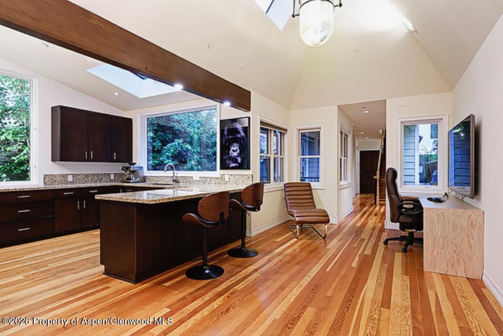 213 W Bleeker Street Aspen CO 81611