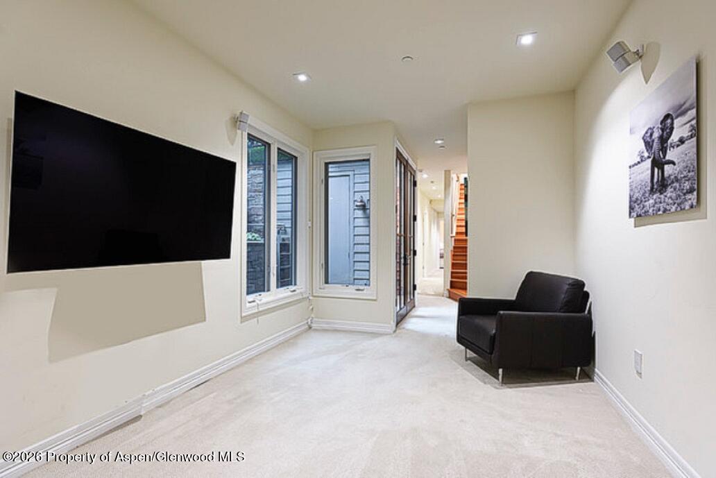 213 W Bleeker Street Aspen CO 81611