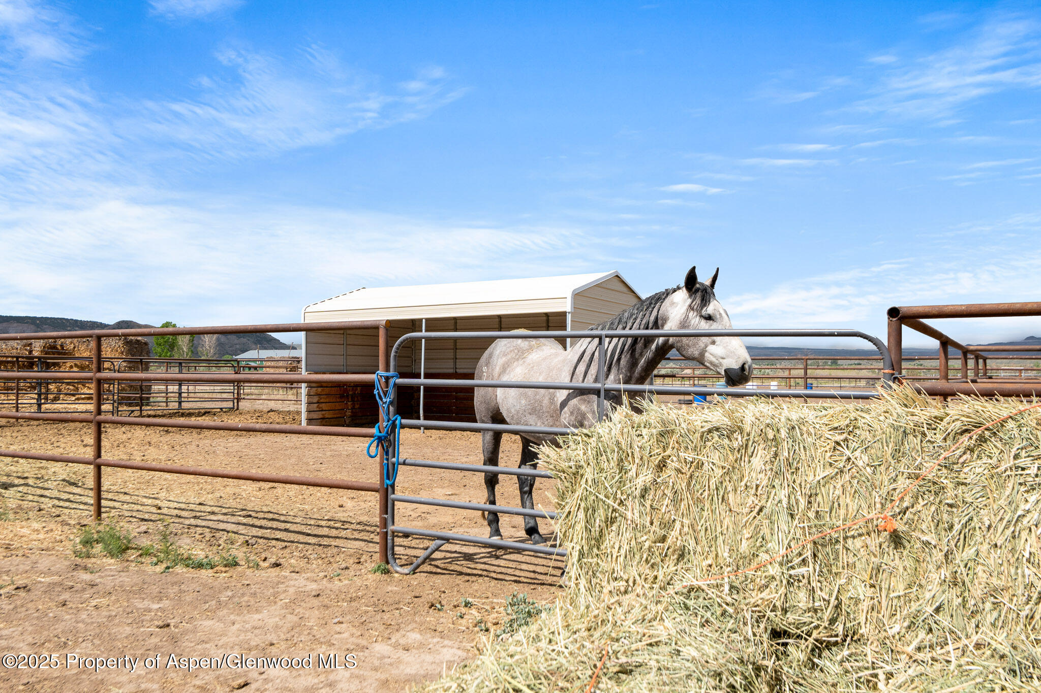2022 45 Road De Beque CO 81630