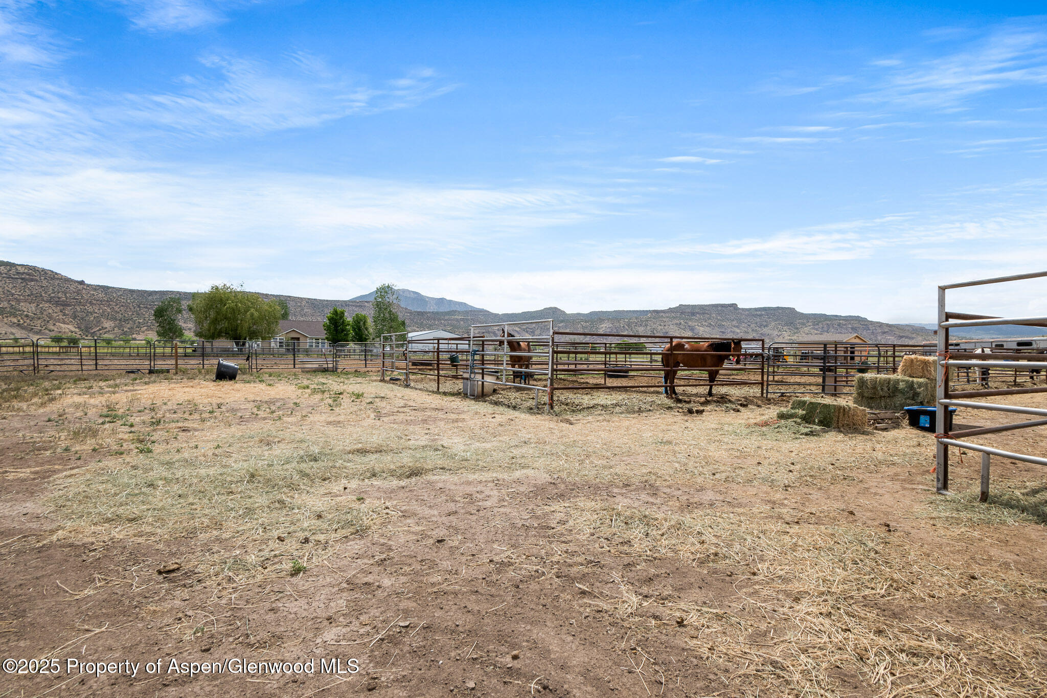 2022 45 Road De Beque CO 81630