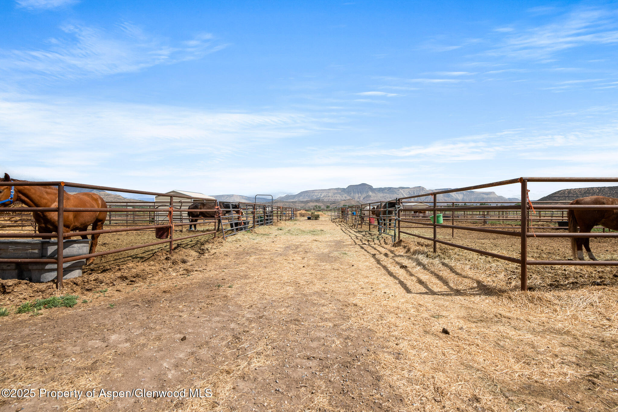 2022 45 Road De Beque CO 81630